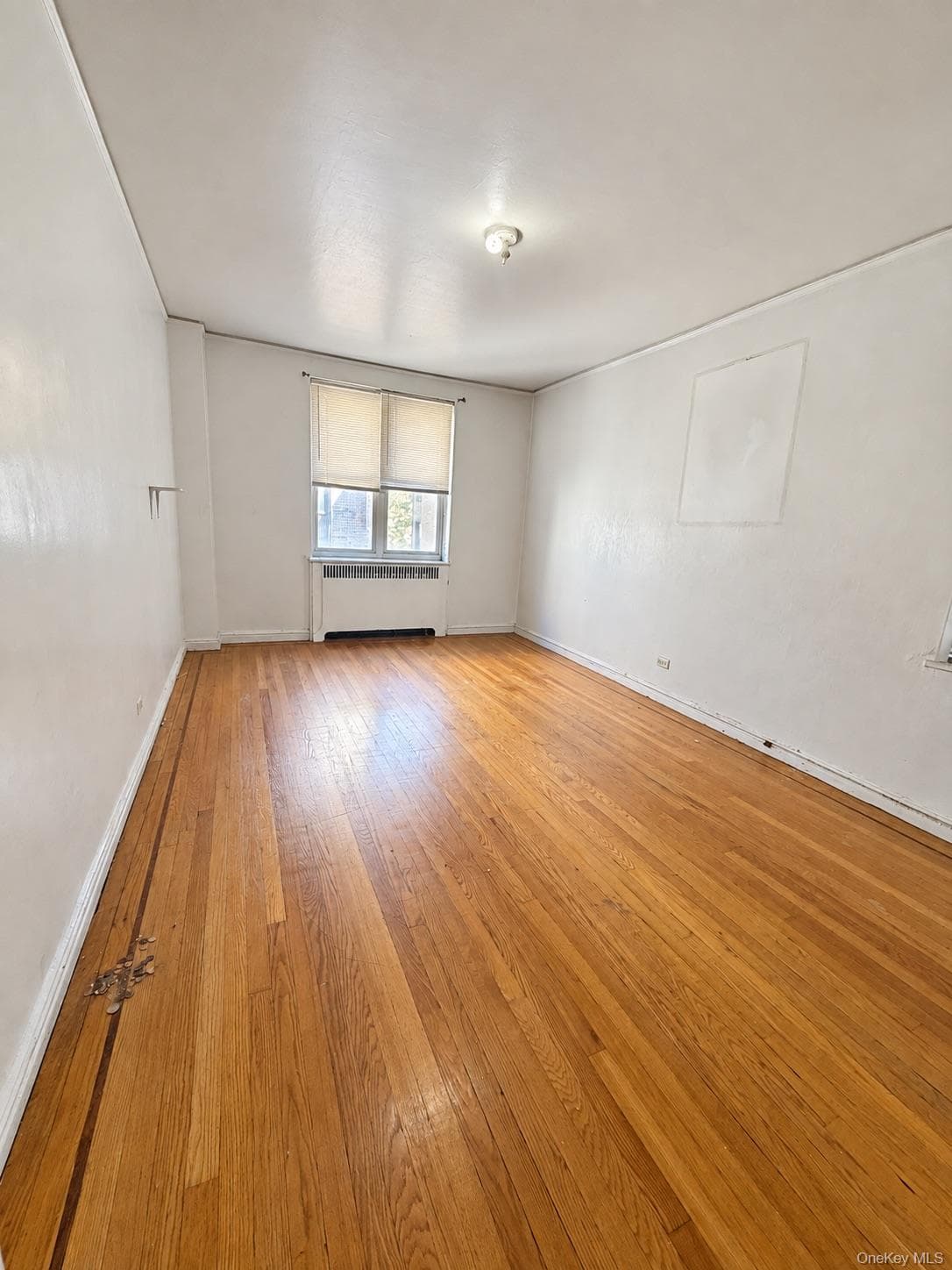 2160 Bronx Park Park Unit: 3B thumbnail 8