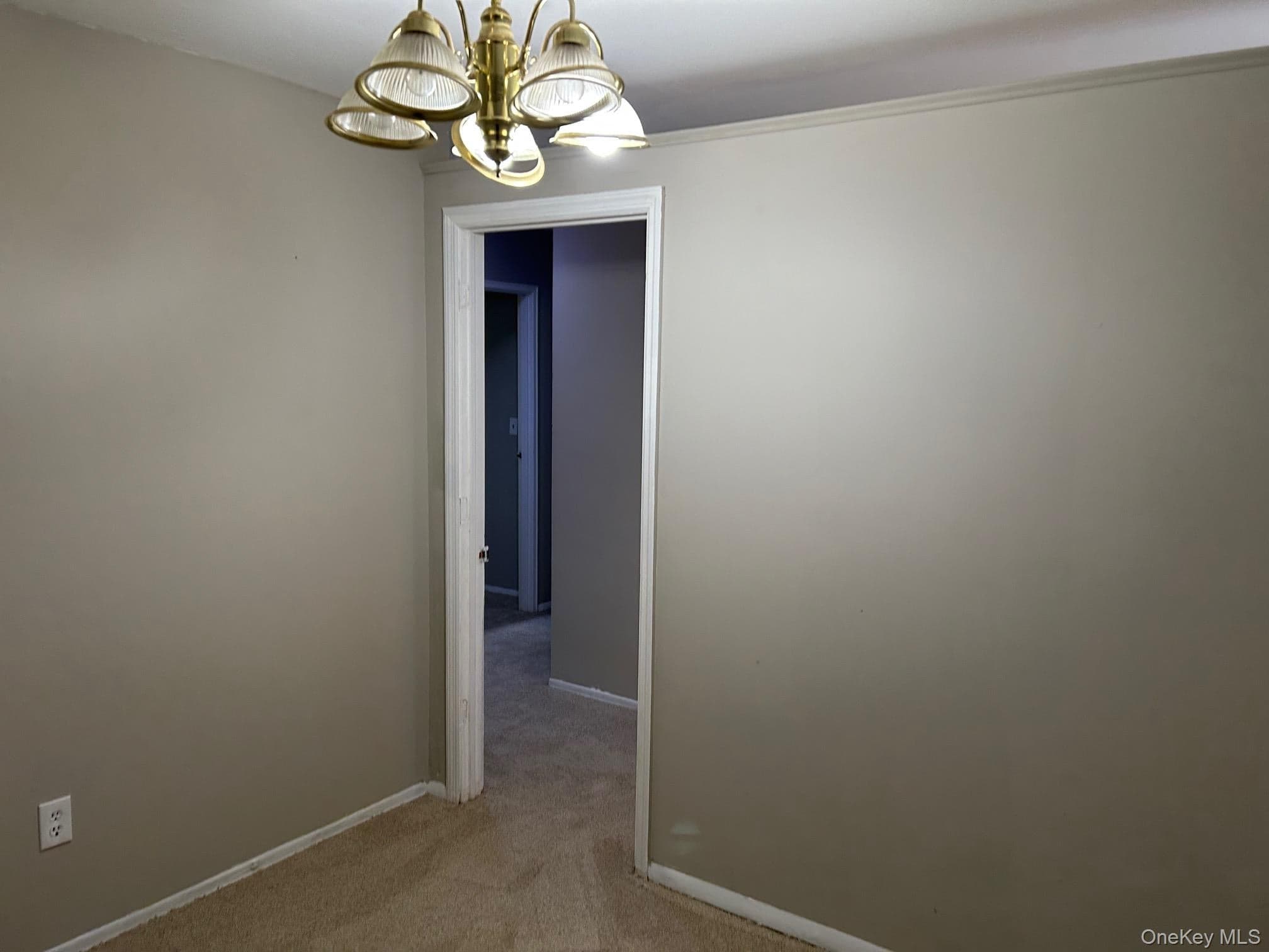 220 Sneden Place Unit: 220 thumbnail 28