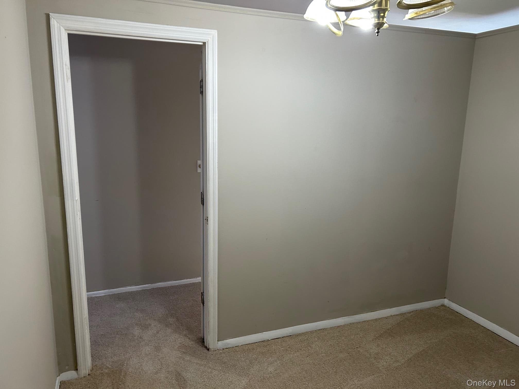 220 Sneden Place Unit: 220 thumbnail 26