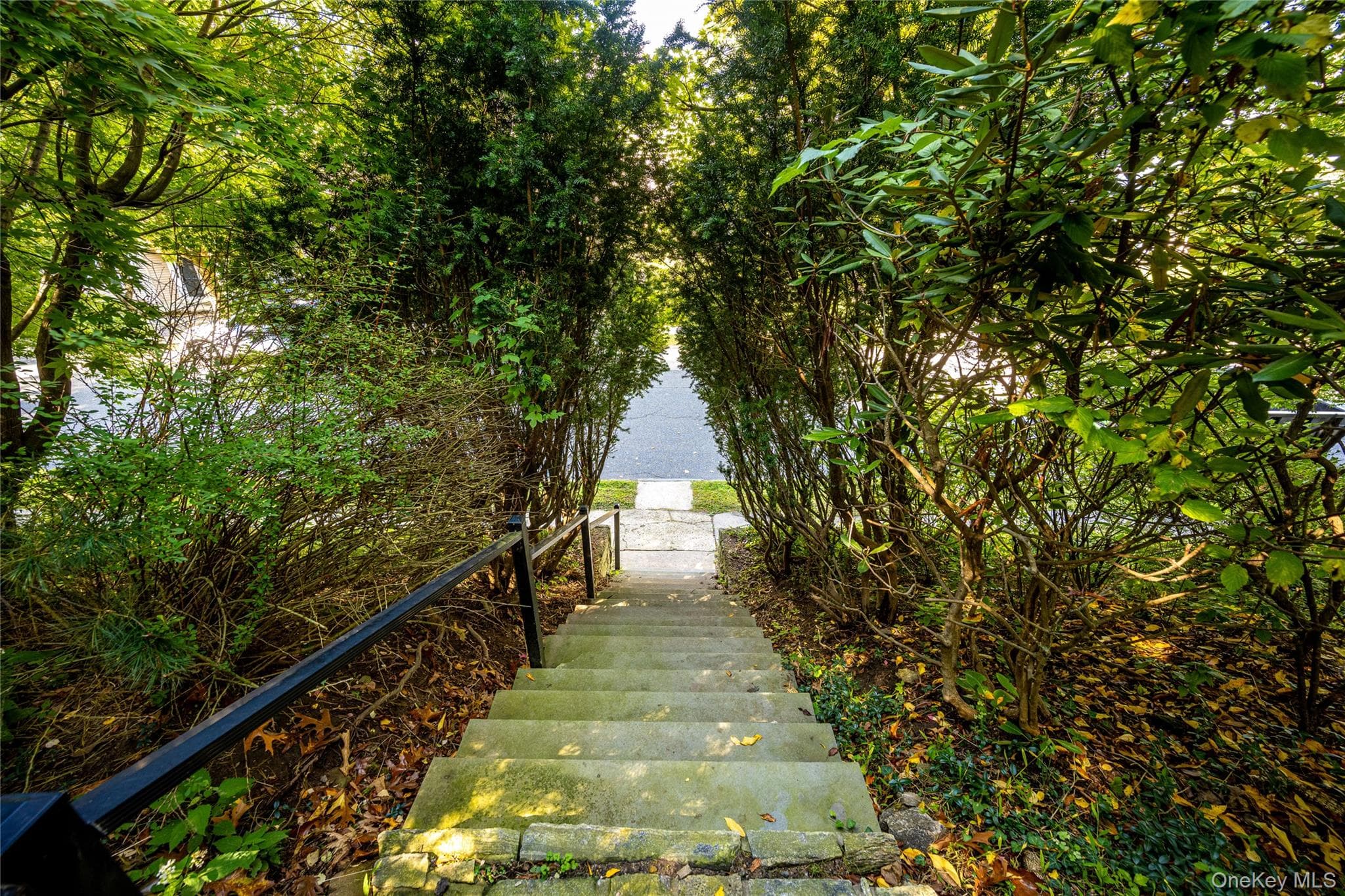 42 Southlawn Avenue thumbnail 10