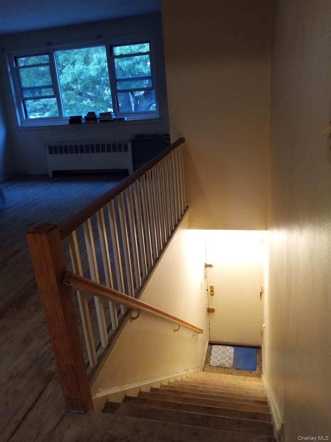 69-38 Kissena Blvd Kissena Blvd Blvd Unit: 135B thumbnail 10