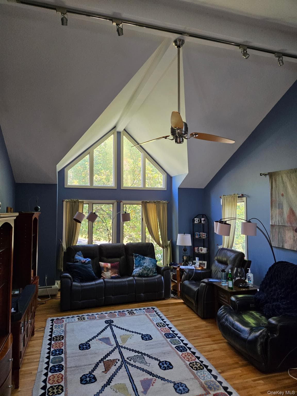 203 Wanamaker Lane thumbnail 10
