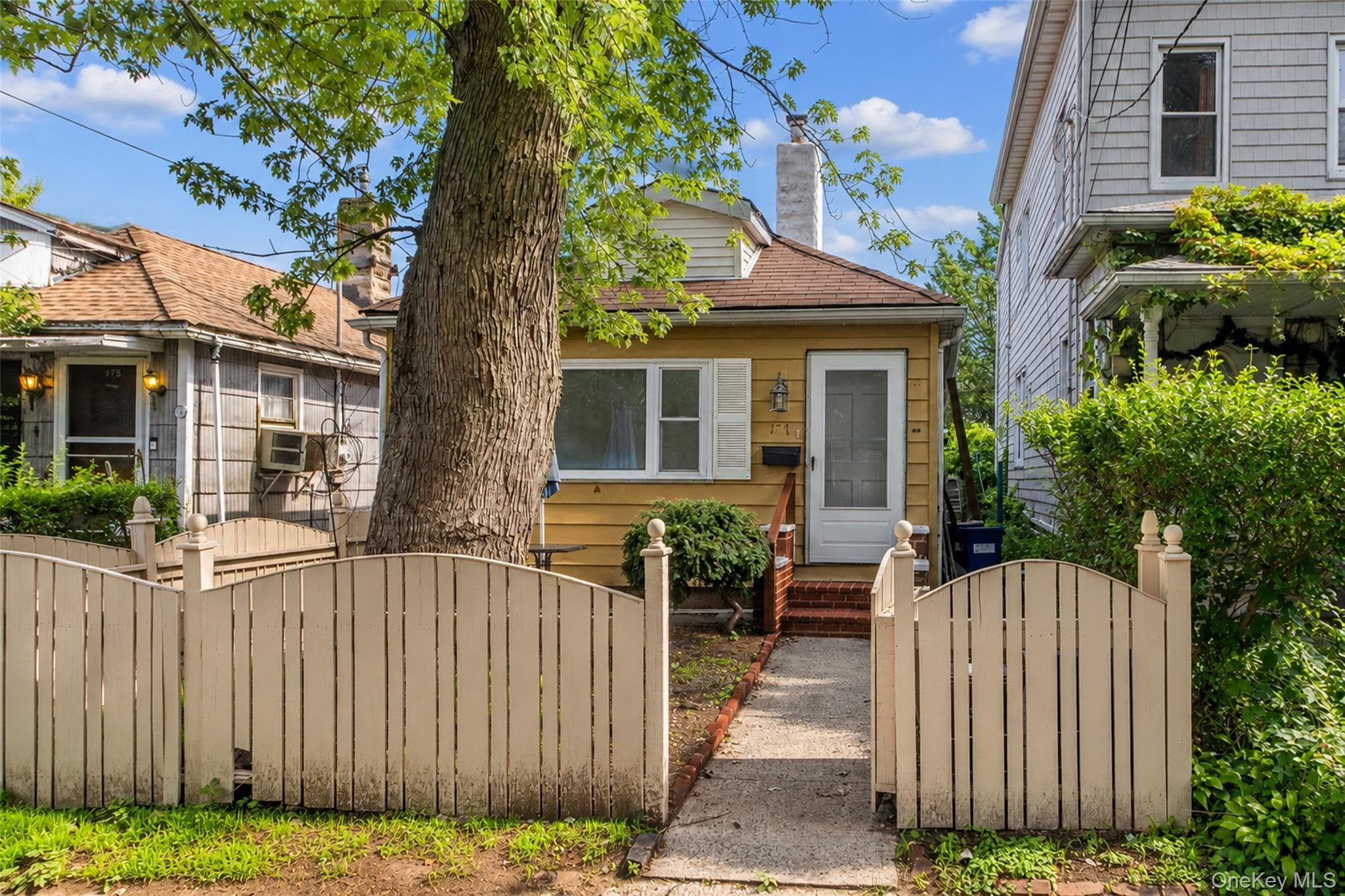 177 Terrace Street thumbnail 16
