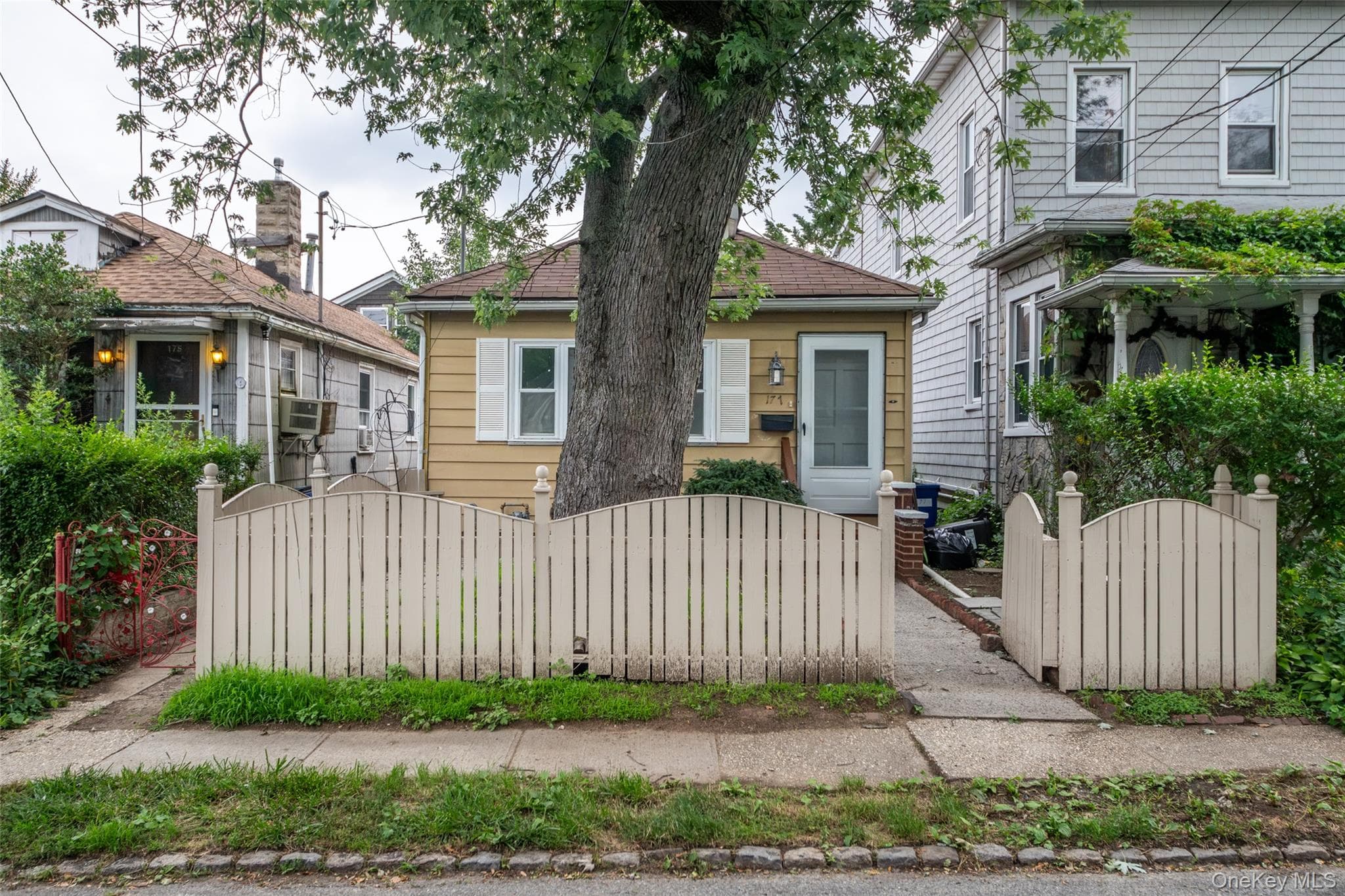 177 Terrace Street thumbnail 30