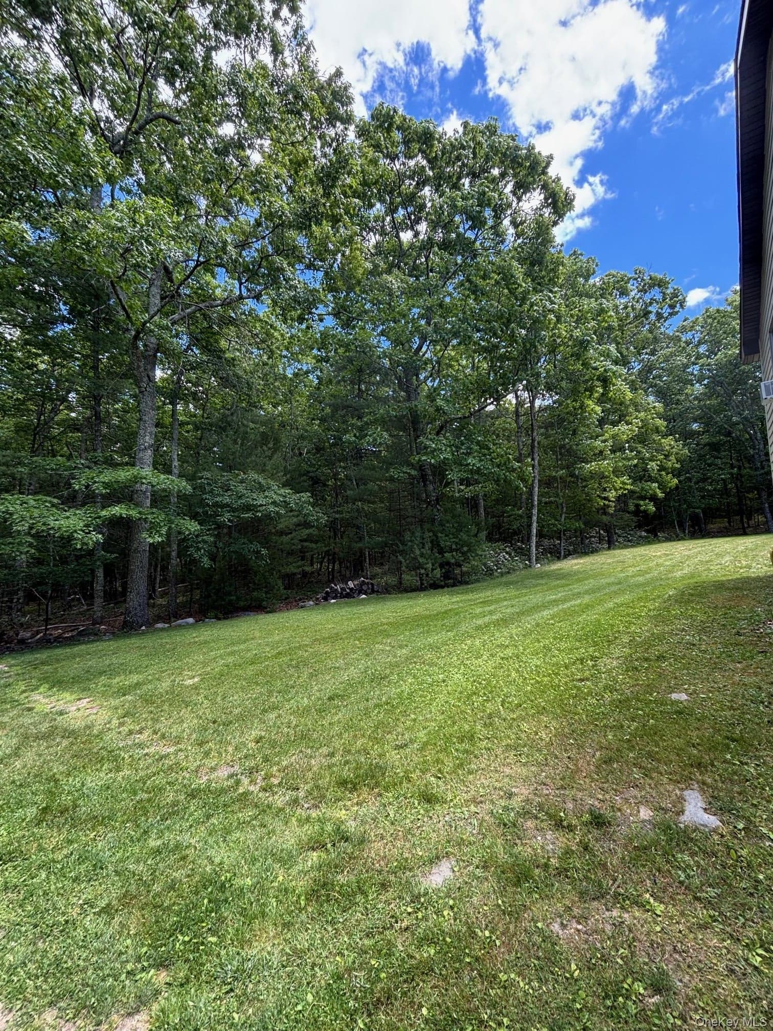 27 Elbert Road thumbnail 22