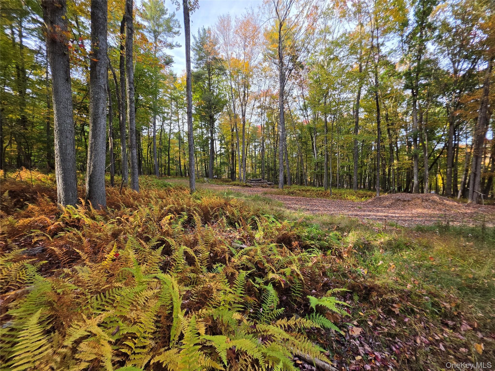 TBD Evergreen Lane thumbnail 4