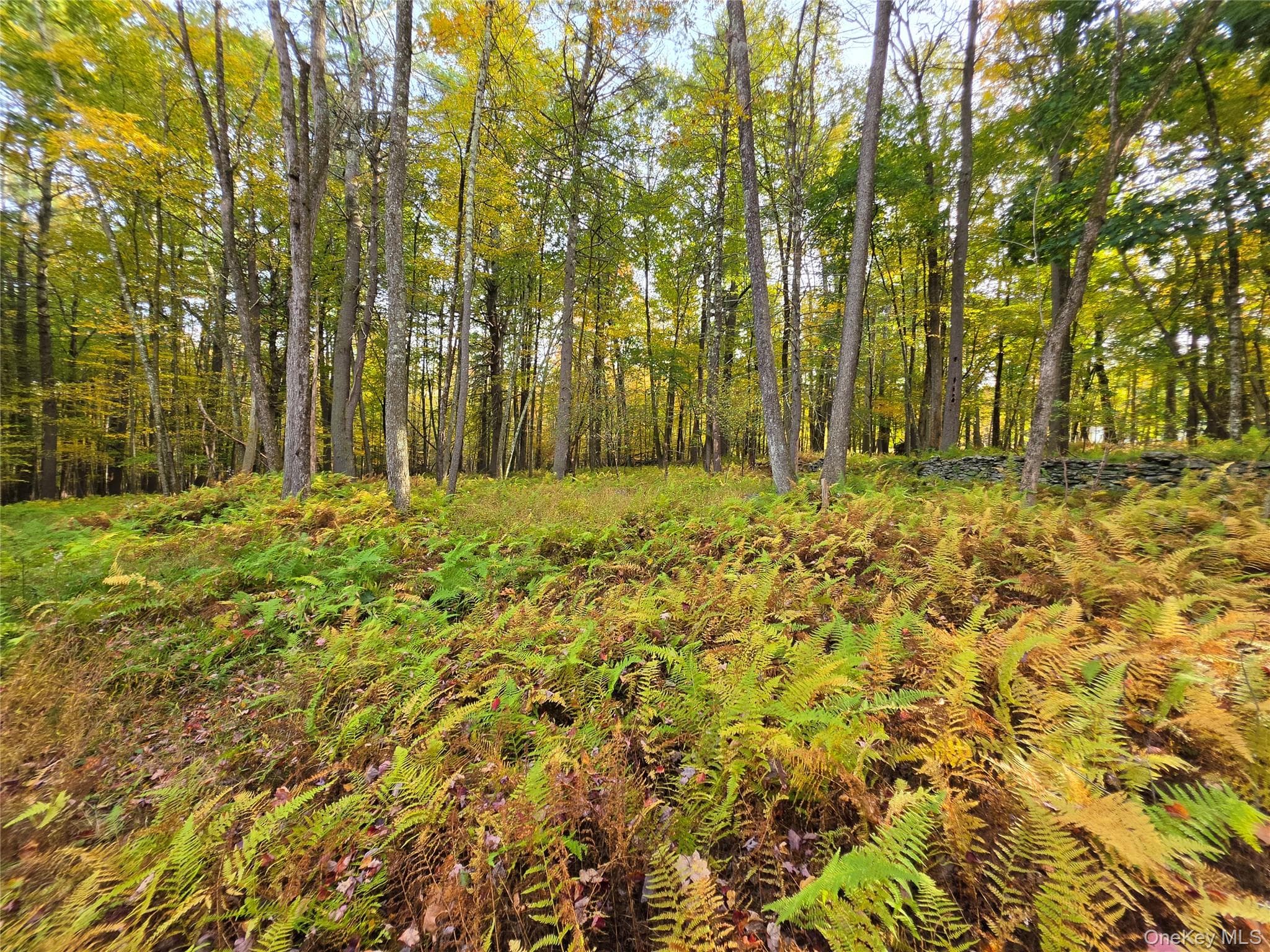 TBD Evergreen Lane thumbnail 12