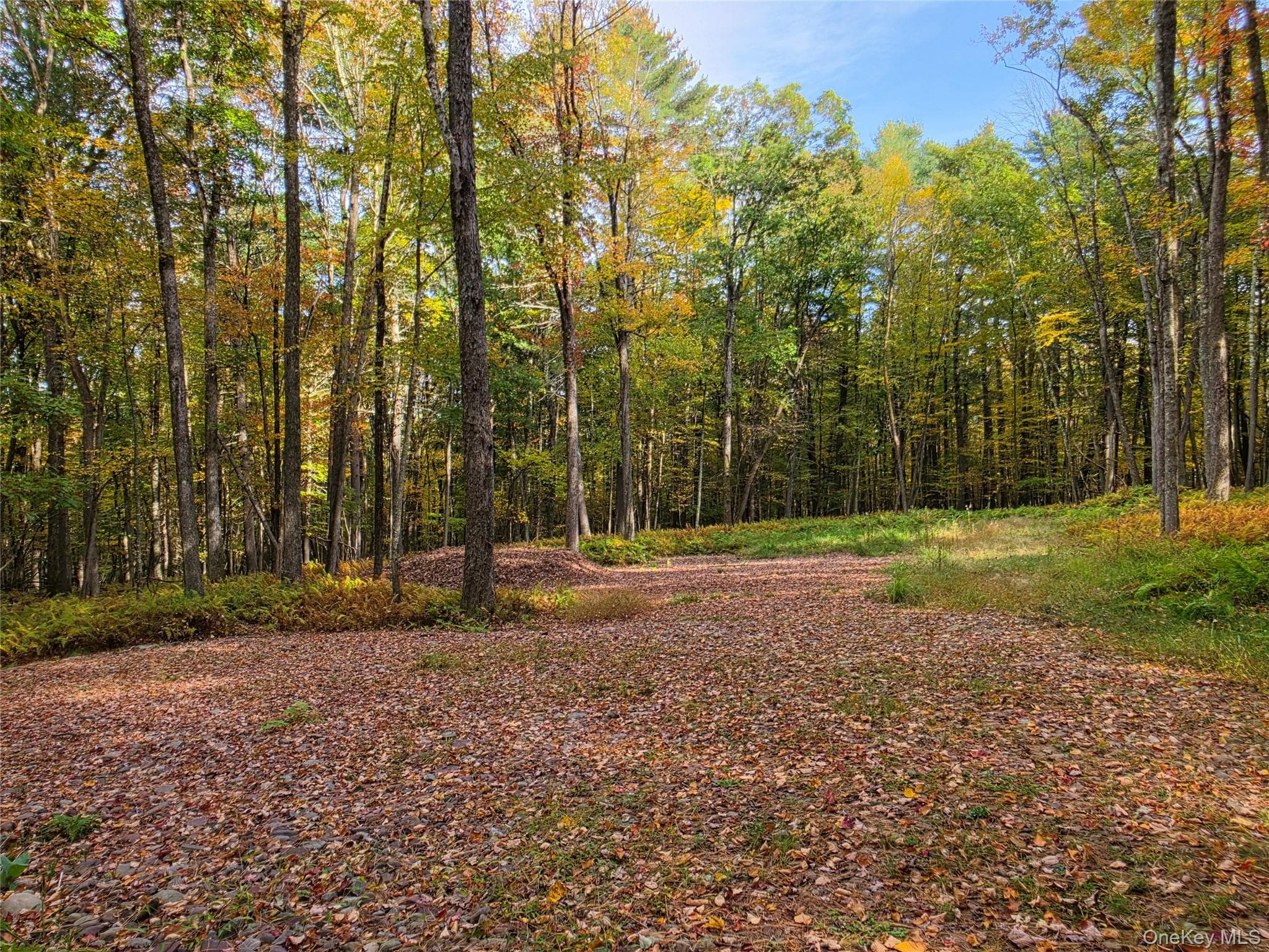 TBD Evergreen Lane, Narrowsburg