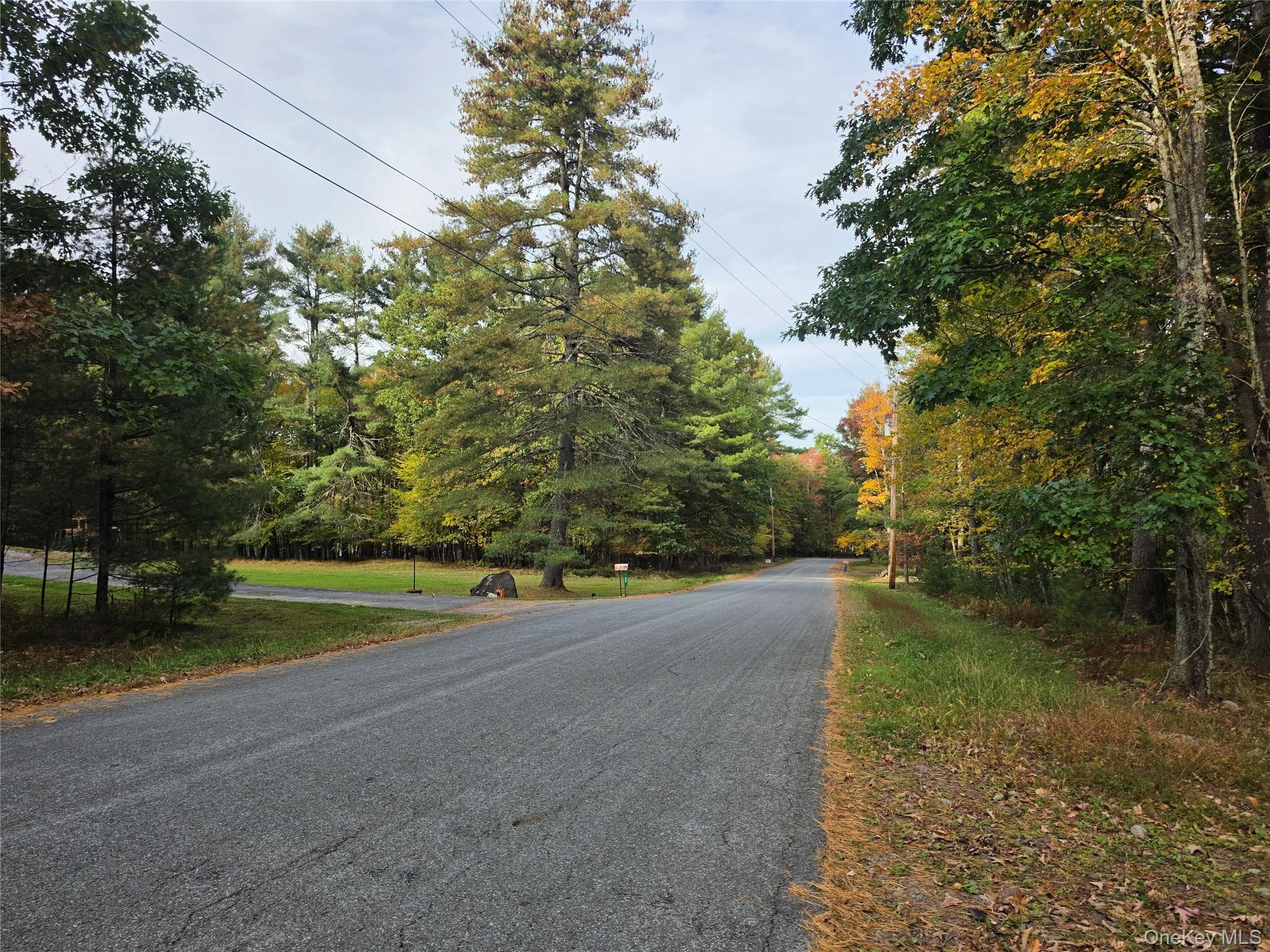 TBD Evergreen Lane thumbnail 43