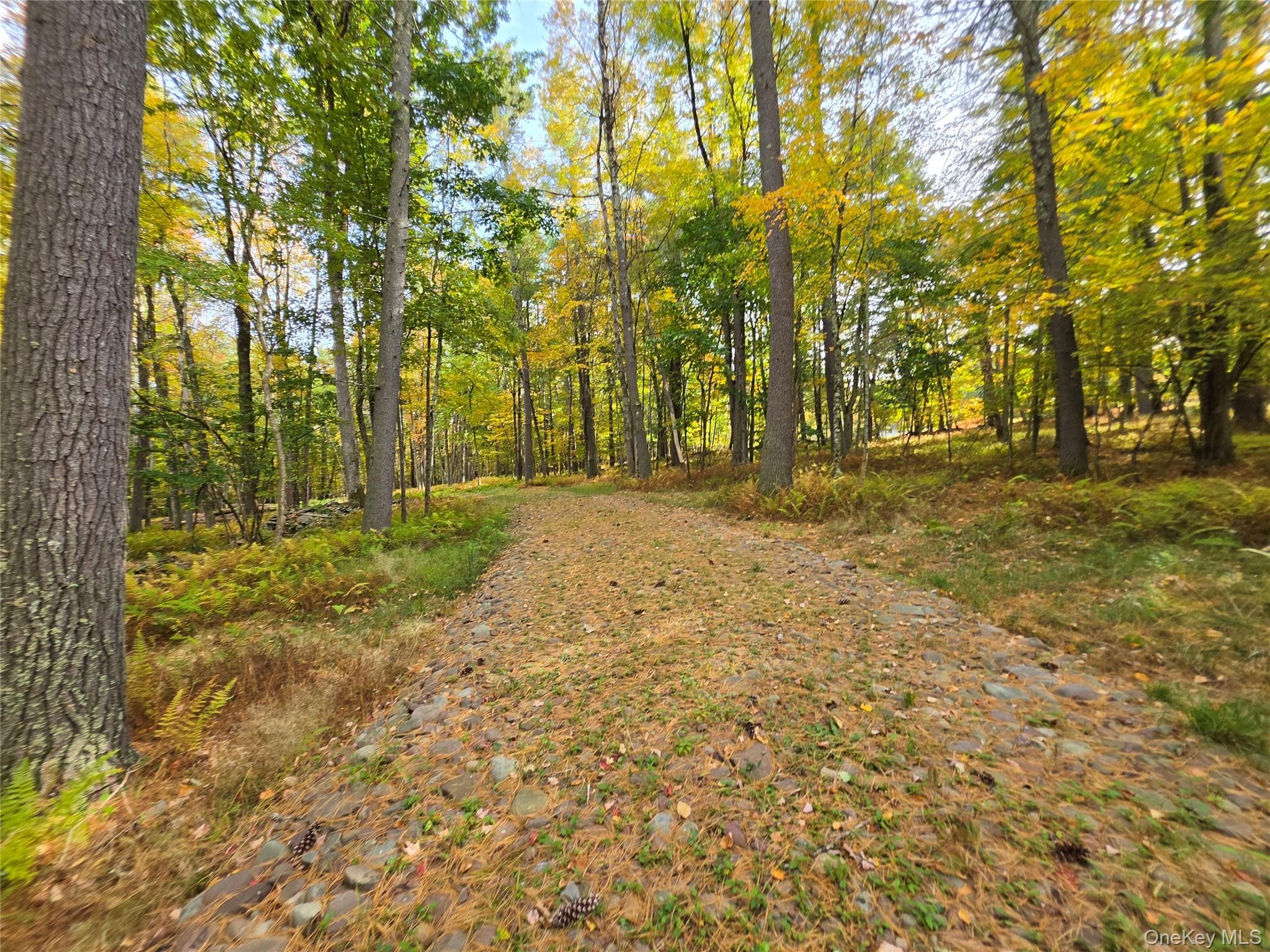 TBD Evergreen Lane thumbnail 31