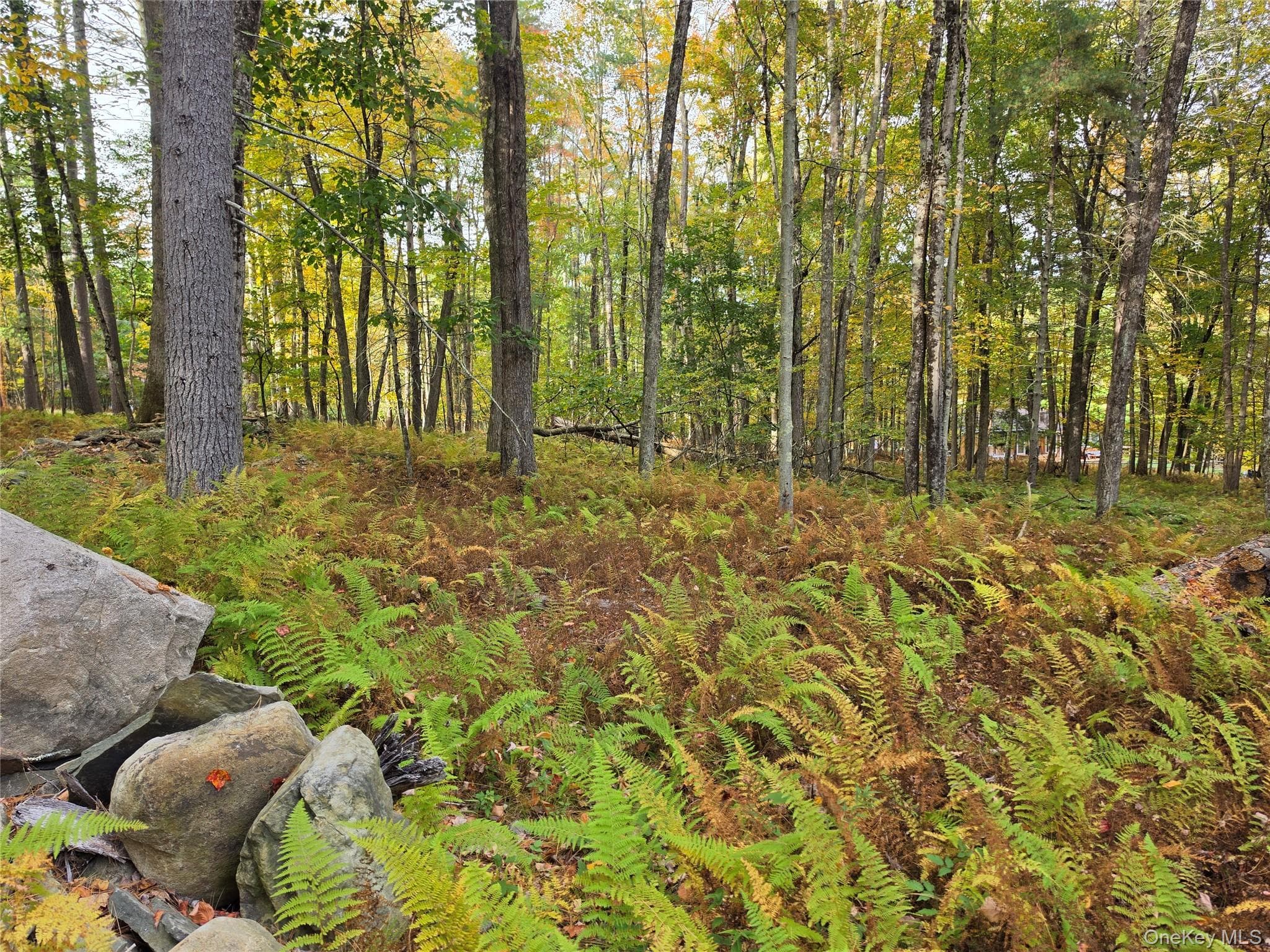 TBD Evergreen Lane thumbnail 9