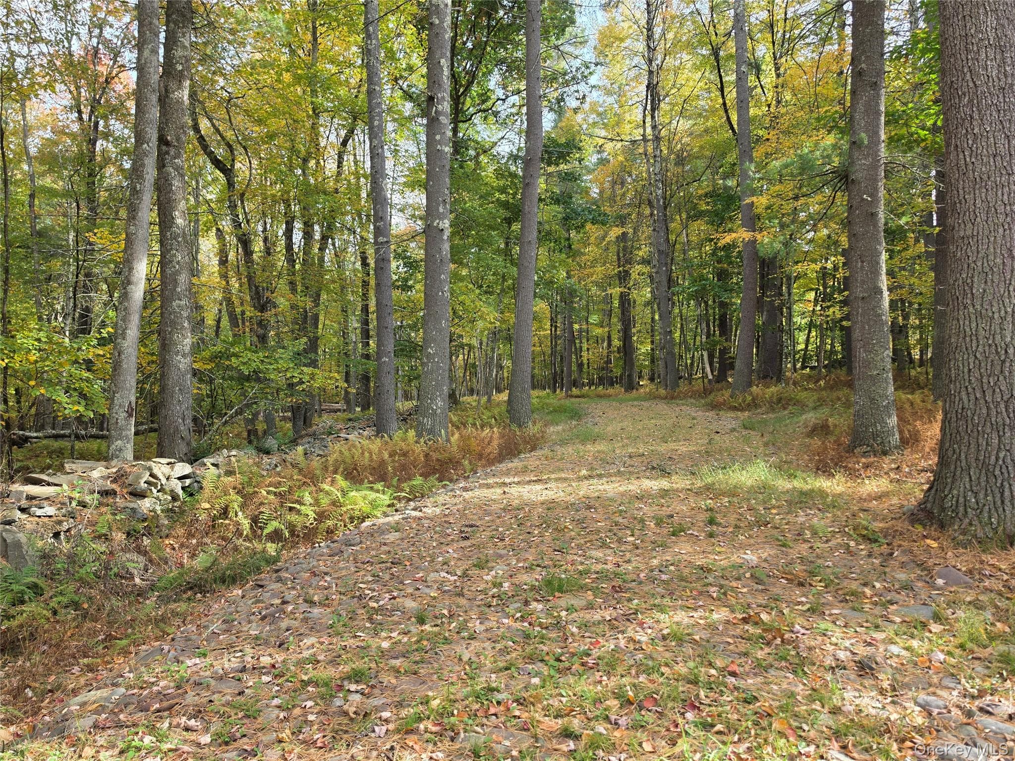 TBD Evergreen Lane thumbnail 42