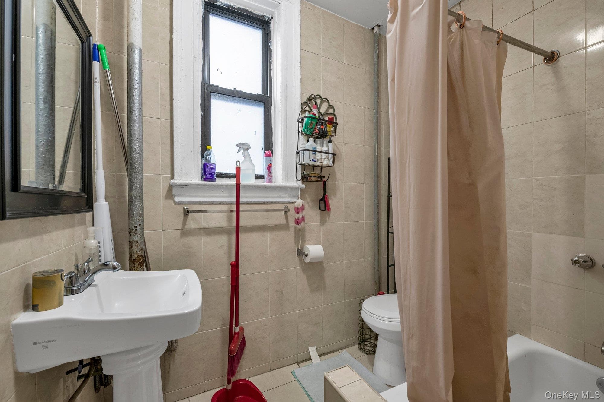 2539 Church Avenue thumbnail 11