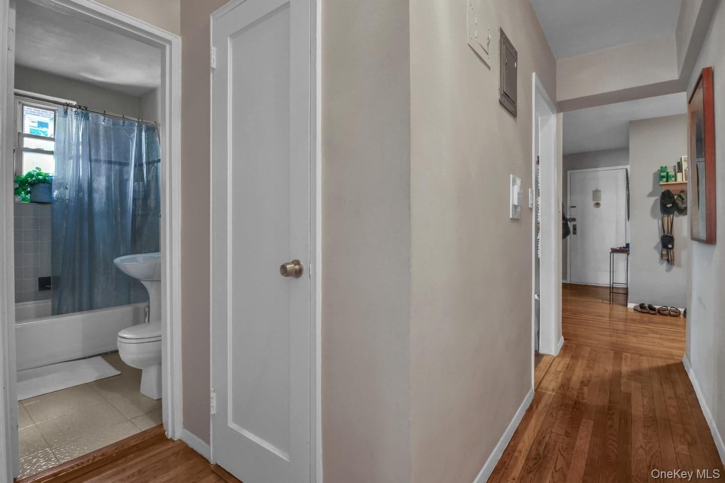 35-40 75th Street Unit: 5B thumbnail 9