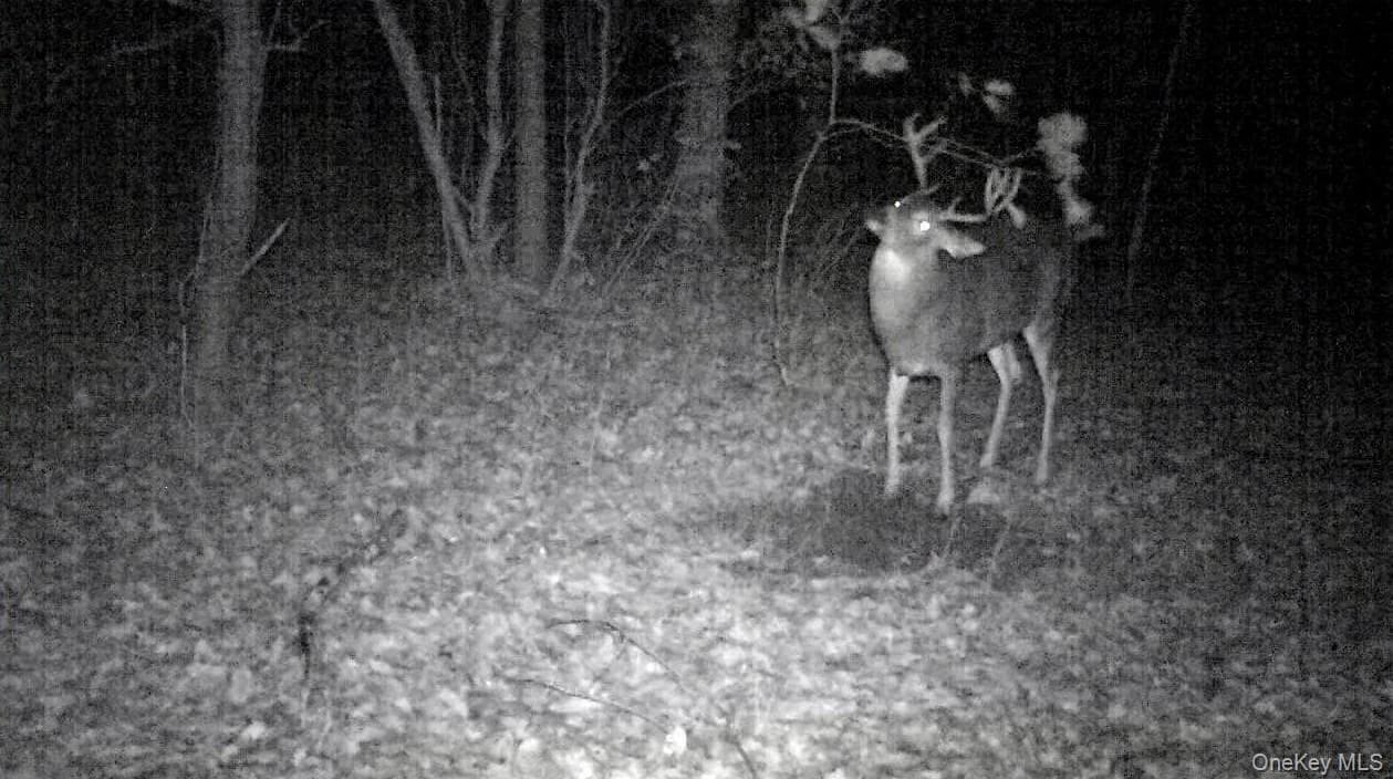 Gregory Hollow Road thumbnail 15