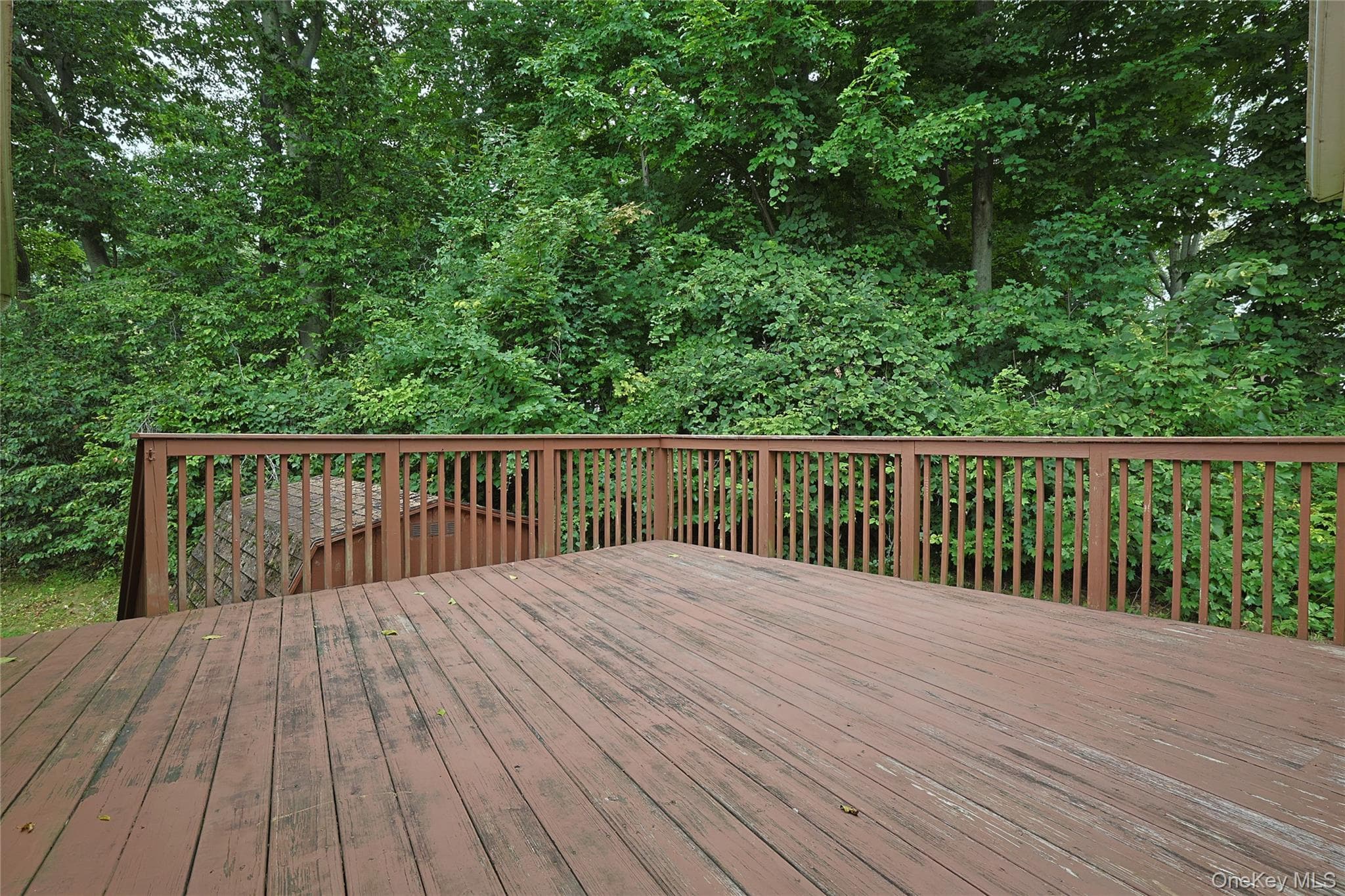 60 Gerardine Place thumbnail 19