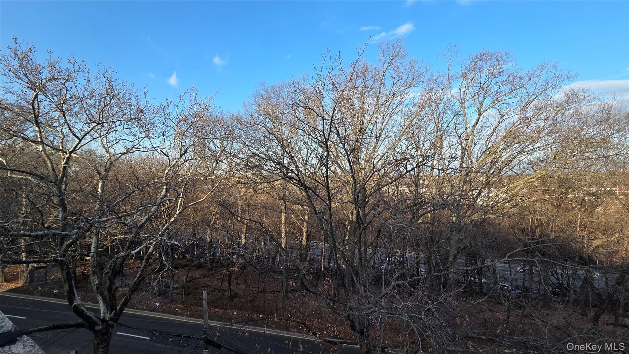76-18 Grand Central Parkway thumbnail 10