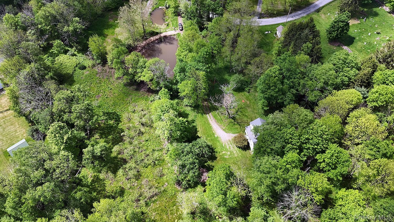 12 Henderson Road thumbnail 30