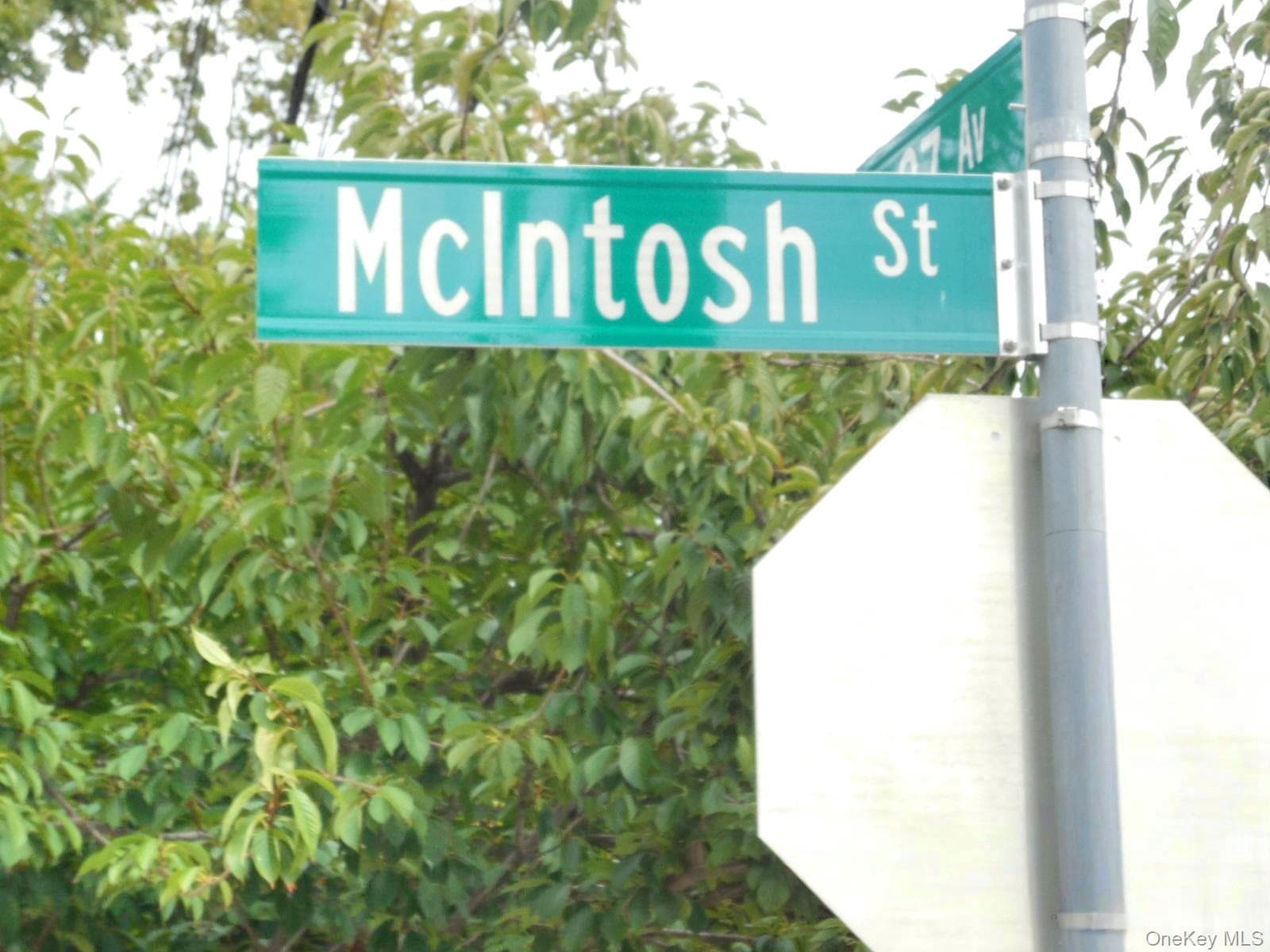 25-53 Mcintosh Street thumbnail 6