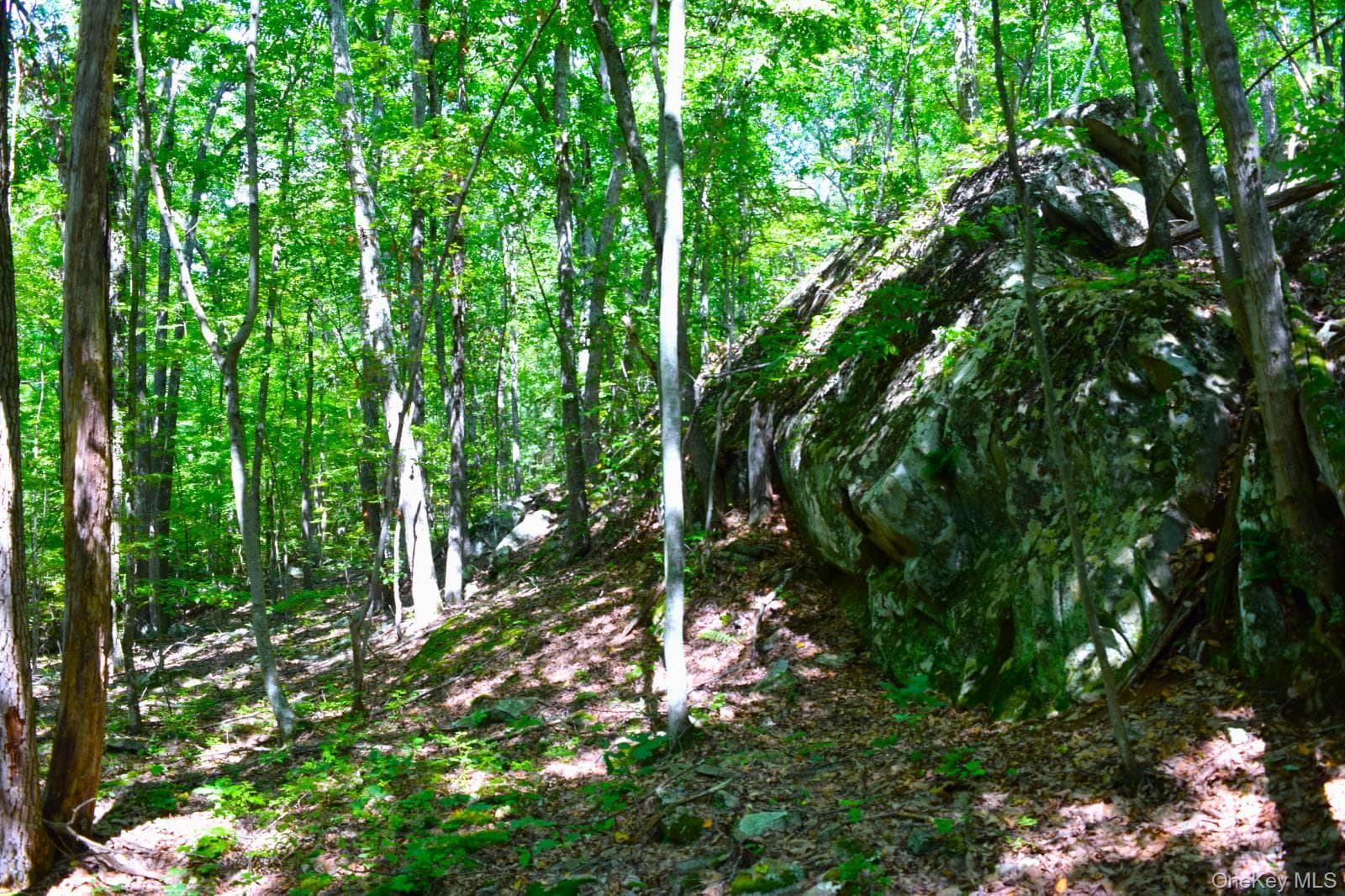 33 Old East Road thumbnail 13