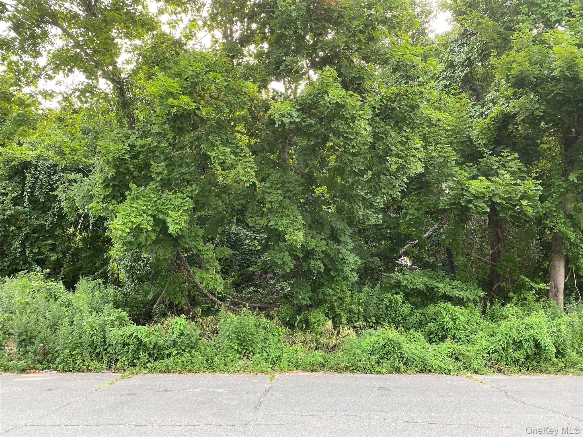 724 Macdonald Avenue, Bellport