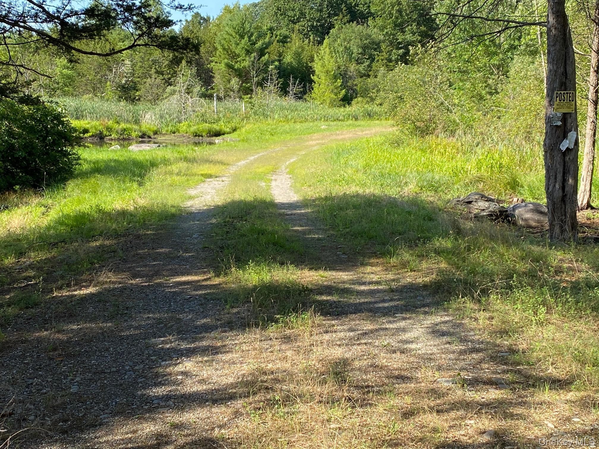 Jerry, Wassaic