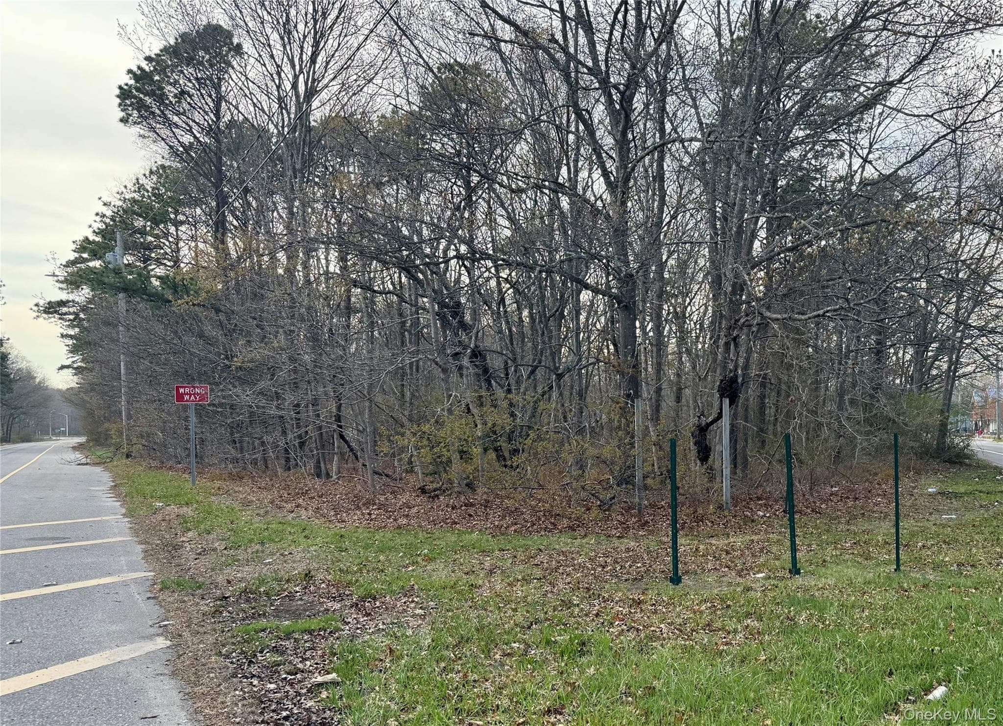Neighborhood Road, Mastic Beach