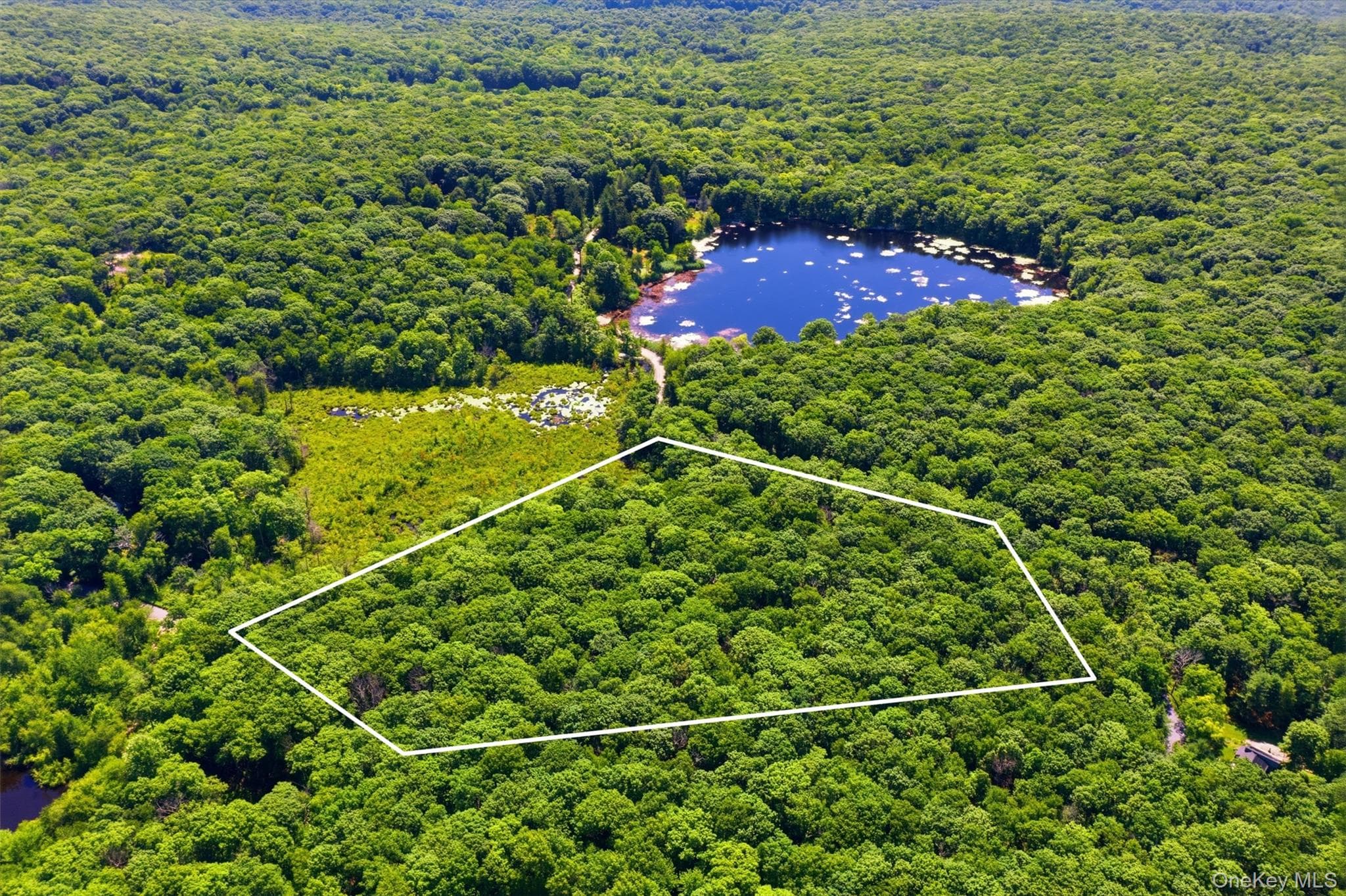 599 E Mountain Road, Cold Spring