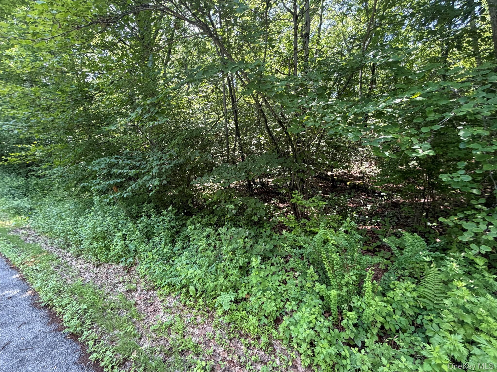 599 E Mountain Road thumbnail 10