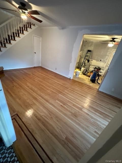1038 Esplanade Avenue thumbnail 5