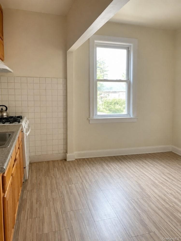 834 E 229th Street thumbnail 18