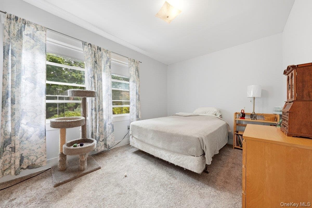 258 Mclean Avenue thumbnail 16