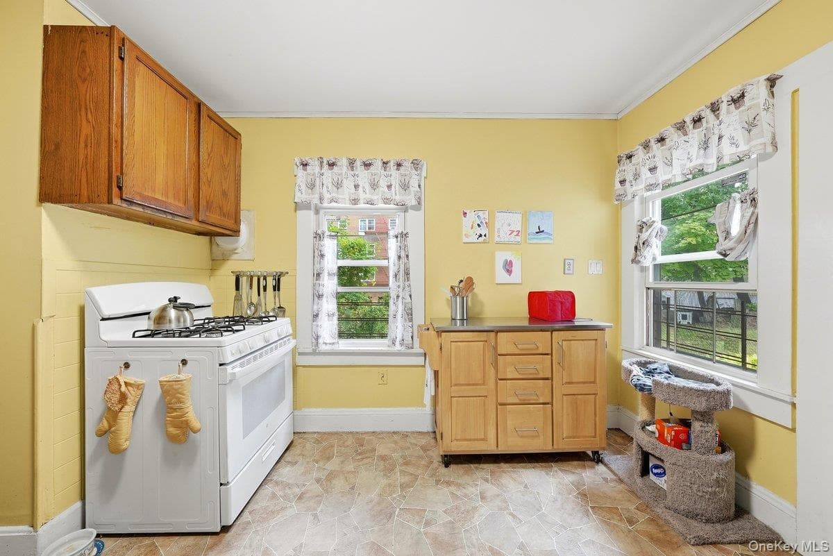 258 Mclean Avenue thumbnail 8