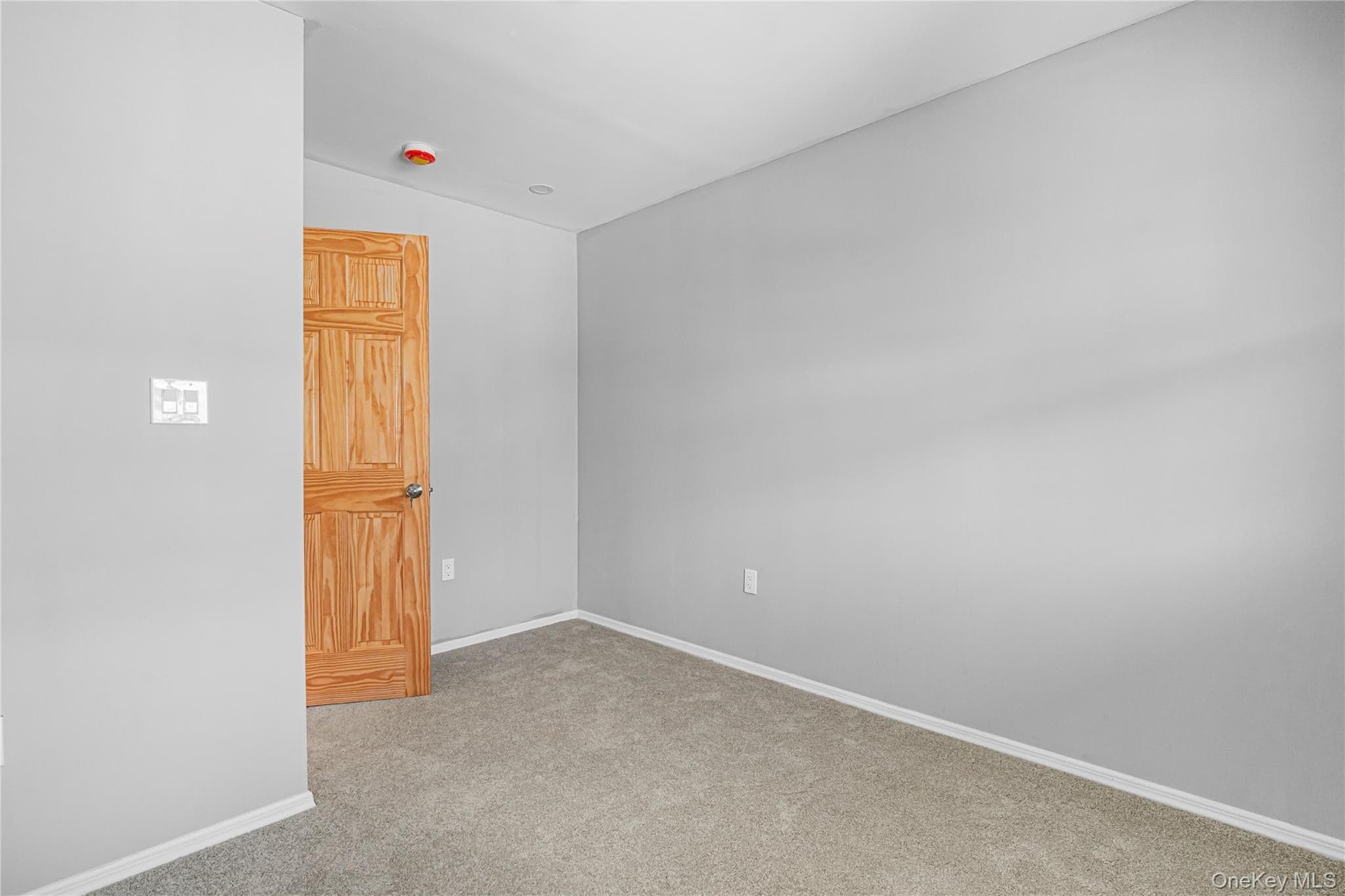 1161 E 88th Street thumbnail 16