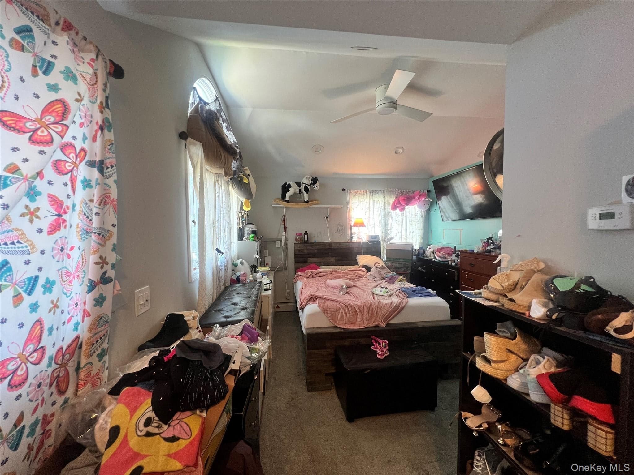 59 Whittier Drive thumbnail 14