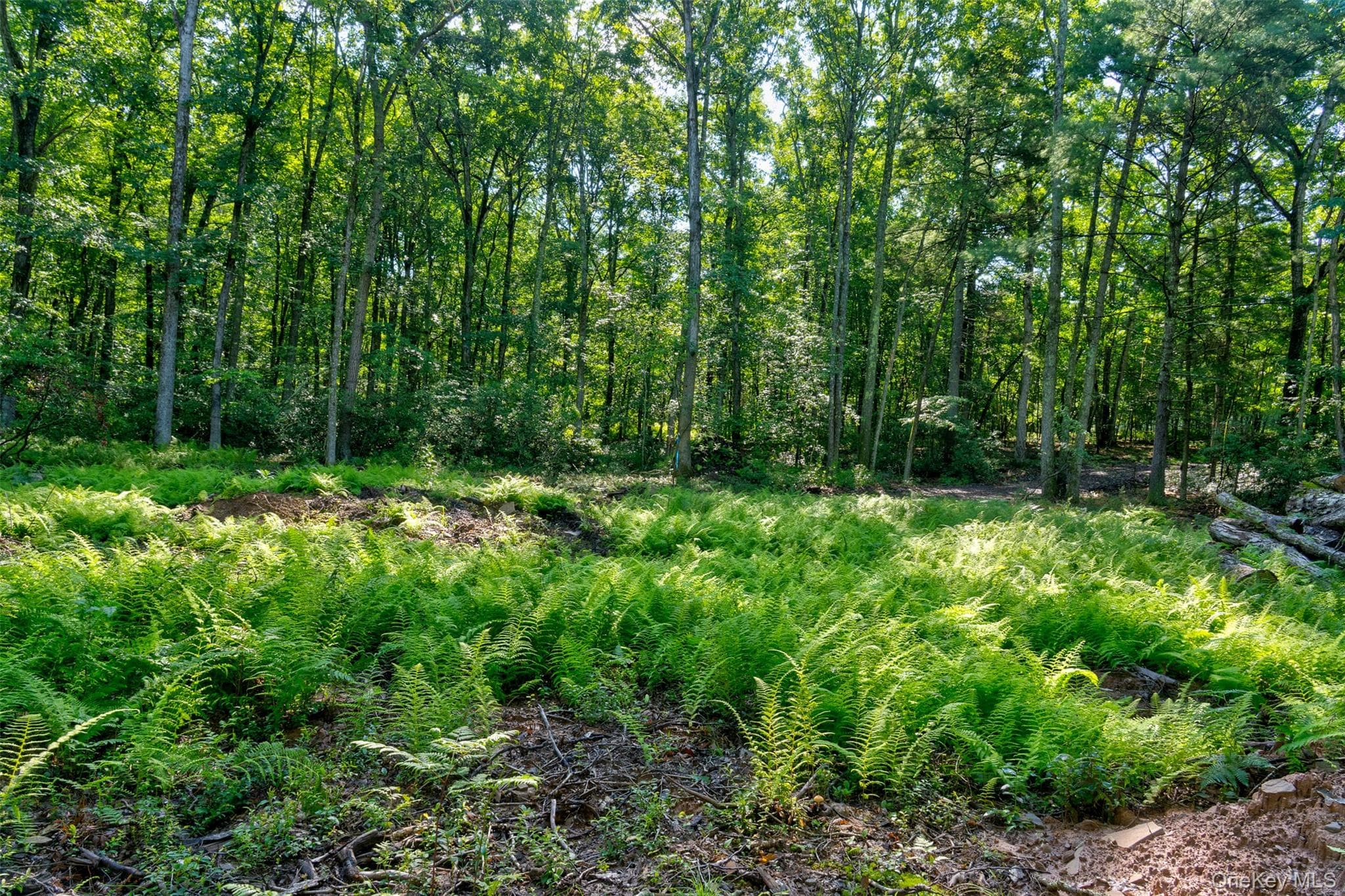 Lot 23 Perry Pond Road thumbnail 13