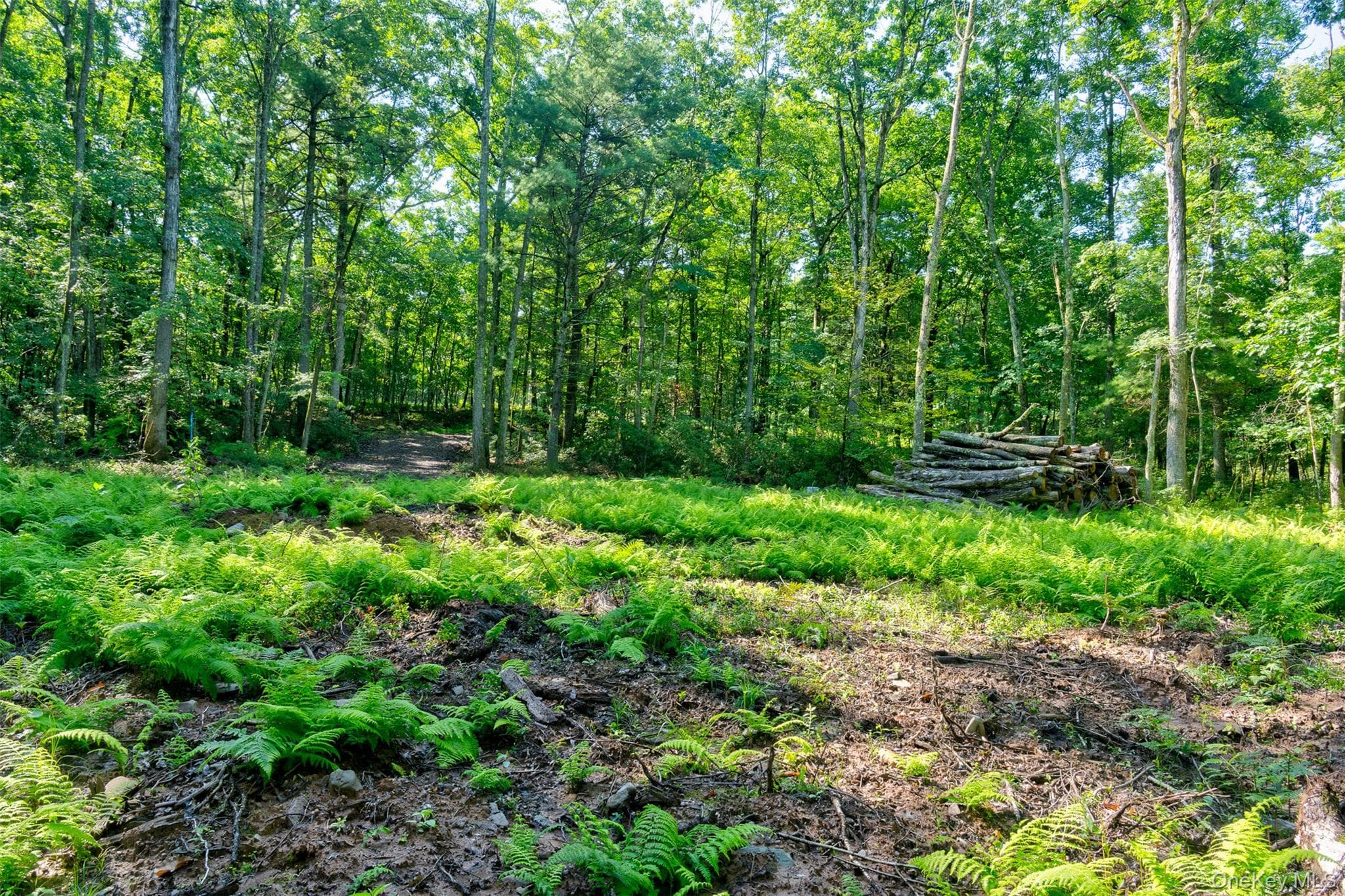 Lot 23 Perry Pond Road thumbnail 11