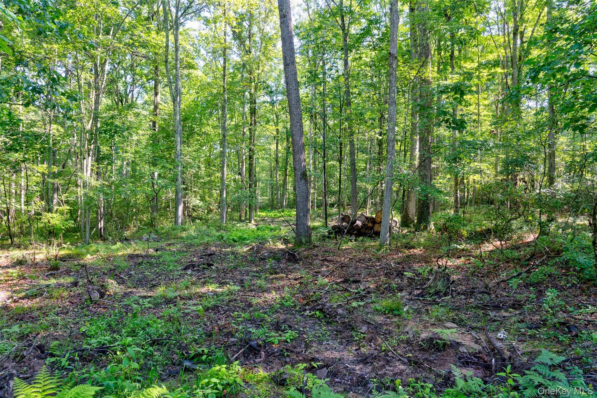 Lot 23 Perry Pond Road thumbnail 15