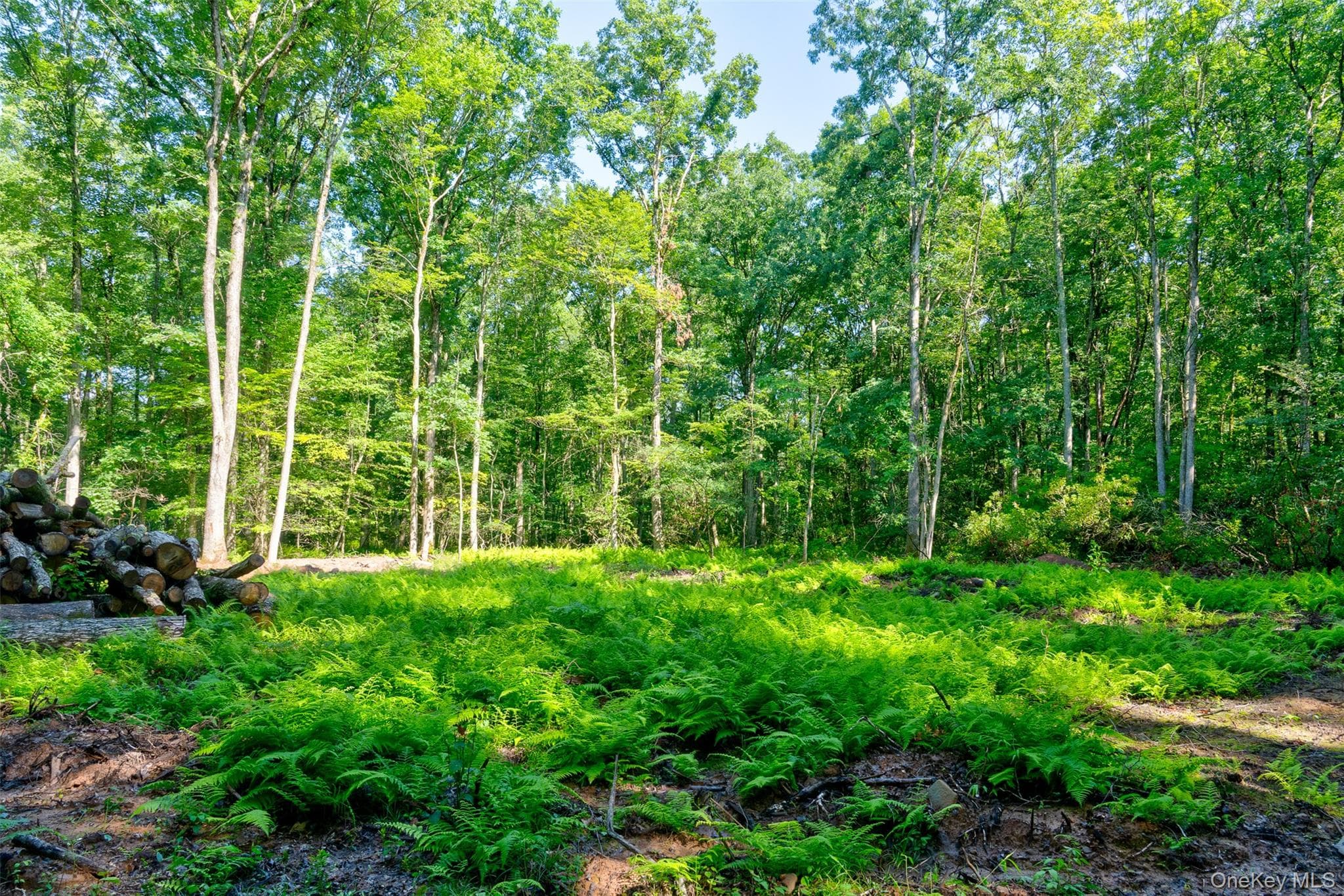 Lot 23 Perry Pond Road thumbnail 14
