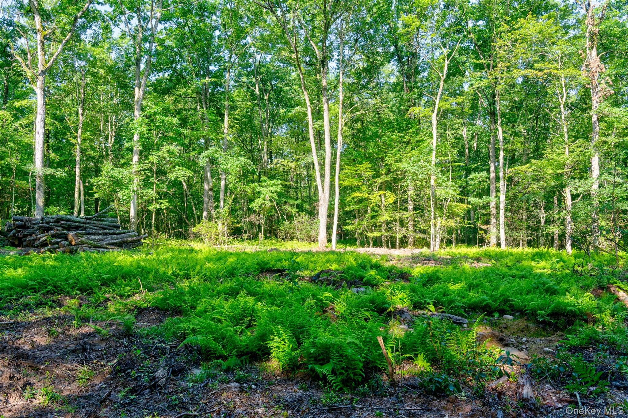 Lot 23 Perry Pond Road thumbnail 5