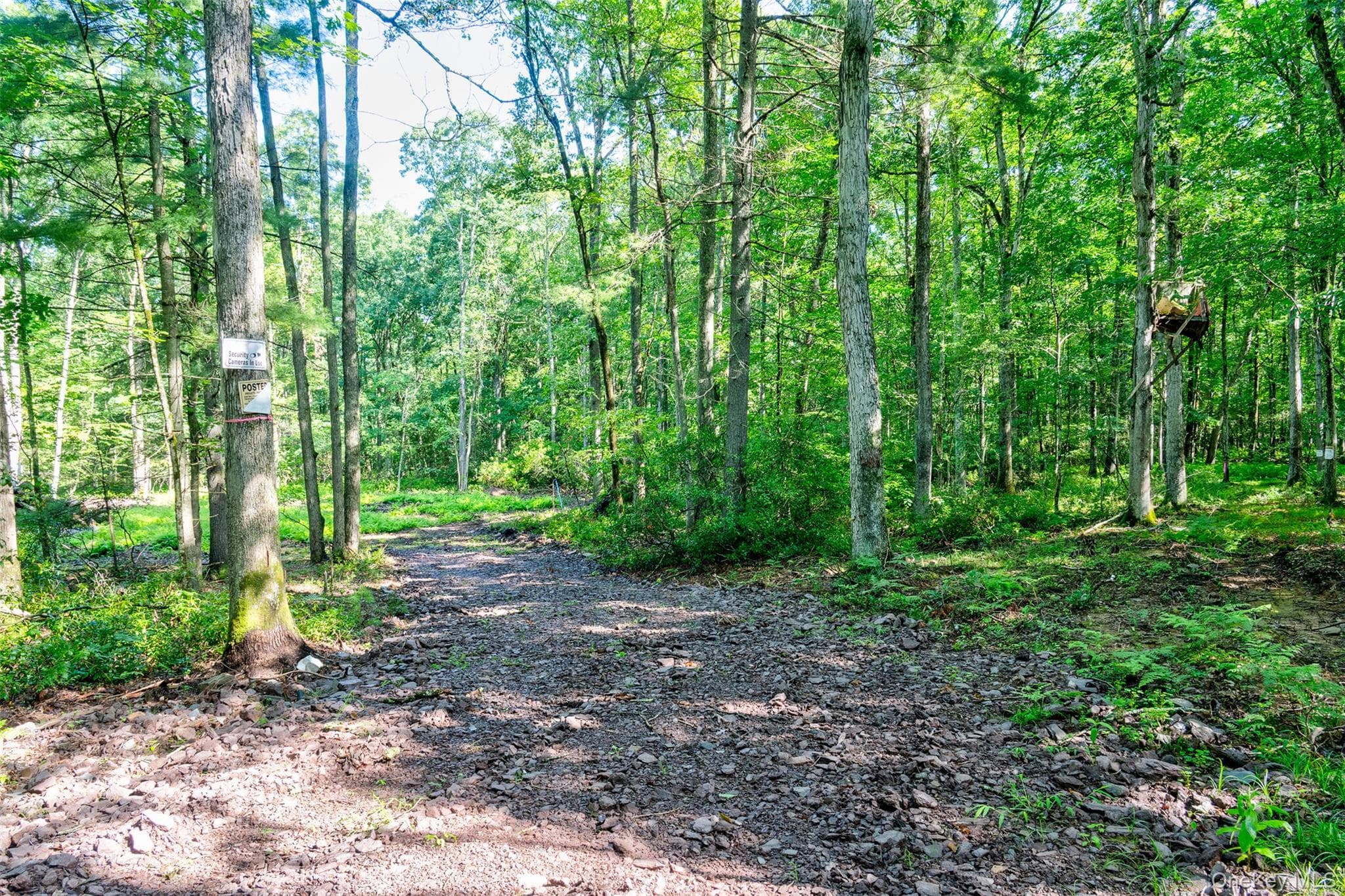 Lot 23 Perry Pond Road thumbnail 2