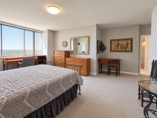 26910 Grand Central Parkway PKWY Unit: 15B thumbnail 16