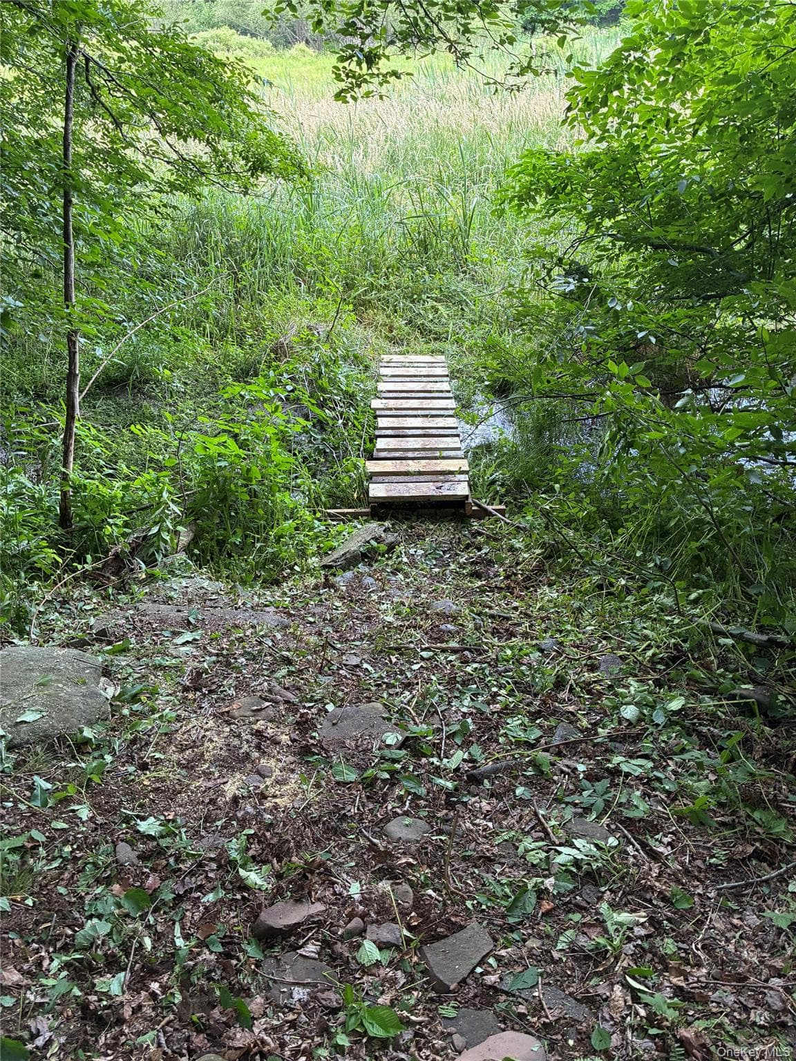 1780 Roses Brook Road thumbnail 45