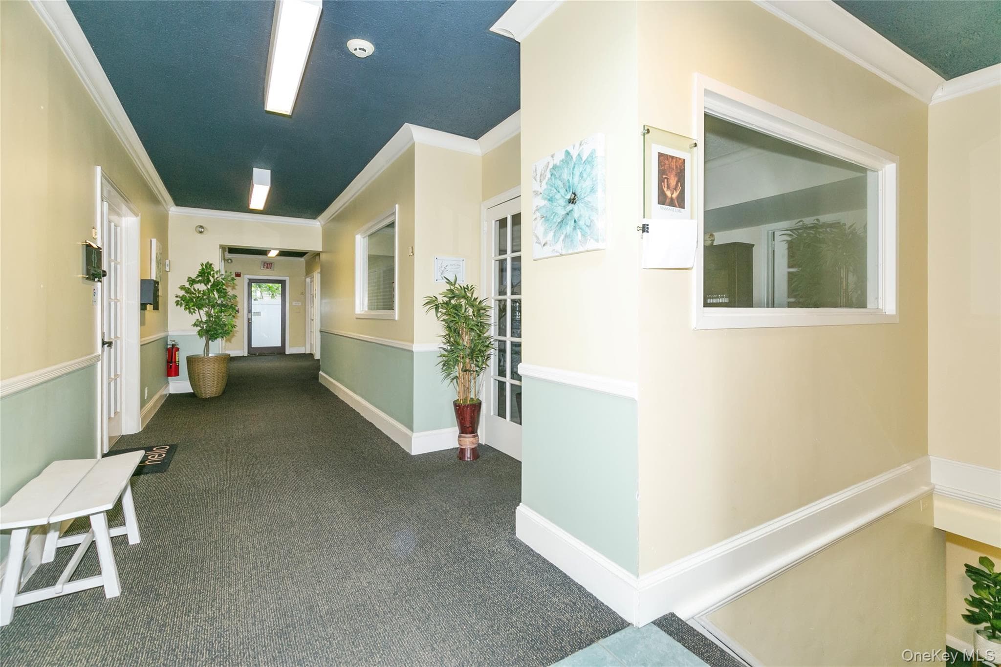 293 Castle Avenue thumbnail 4