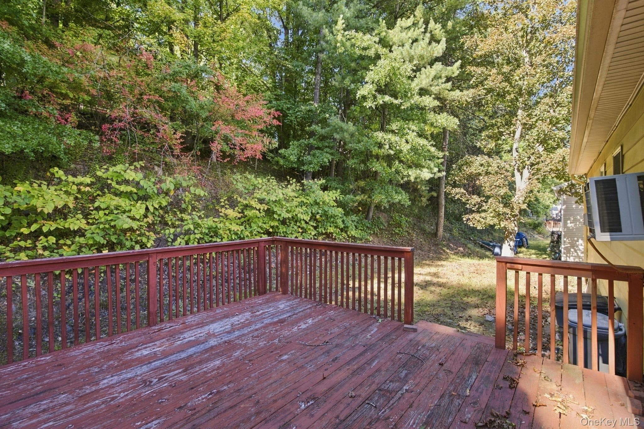 49 Brewster Drive thumbnail 32