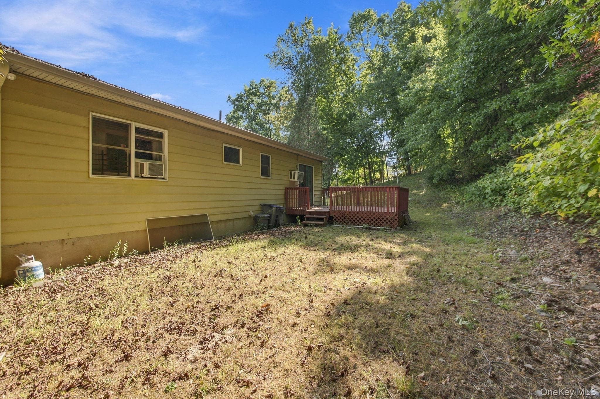 49 Brewster Drive thumbnail 29