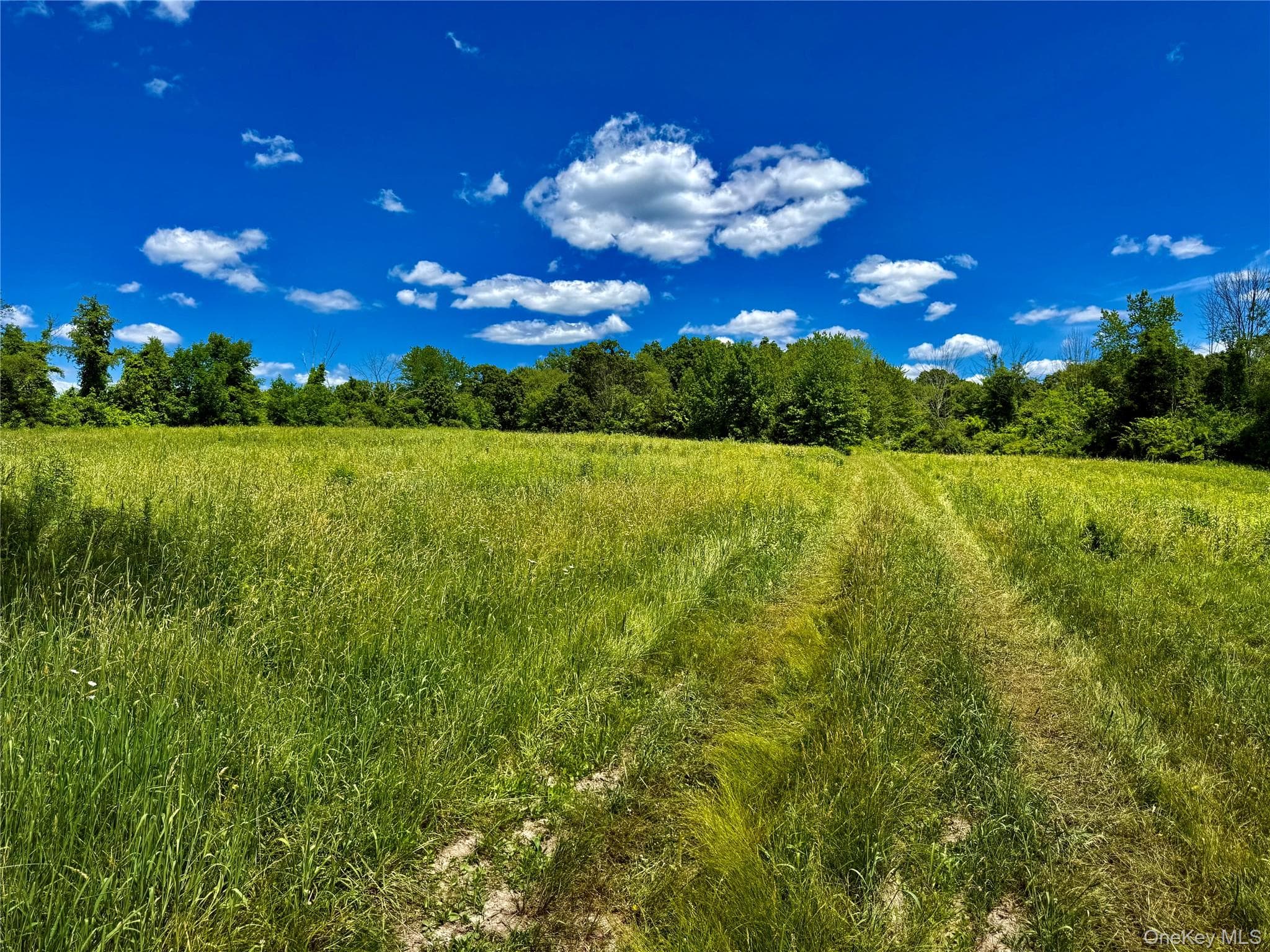513 Rossway Road thumbnail 15