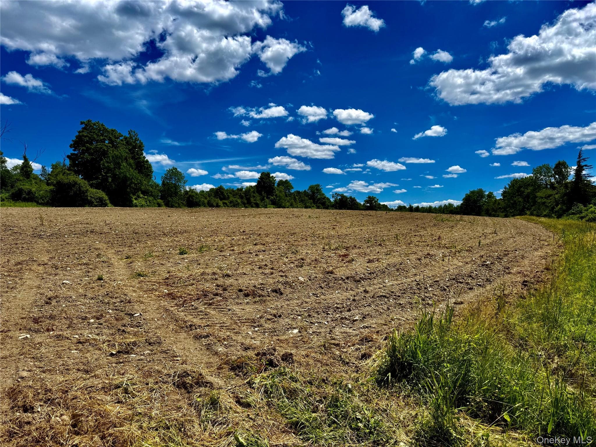 513 Rossway Road thumbnail 8