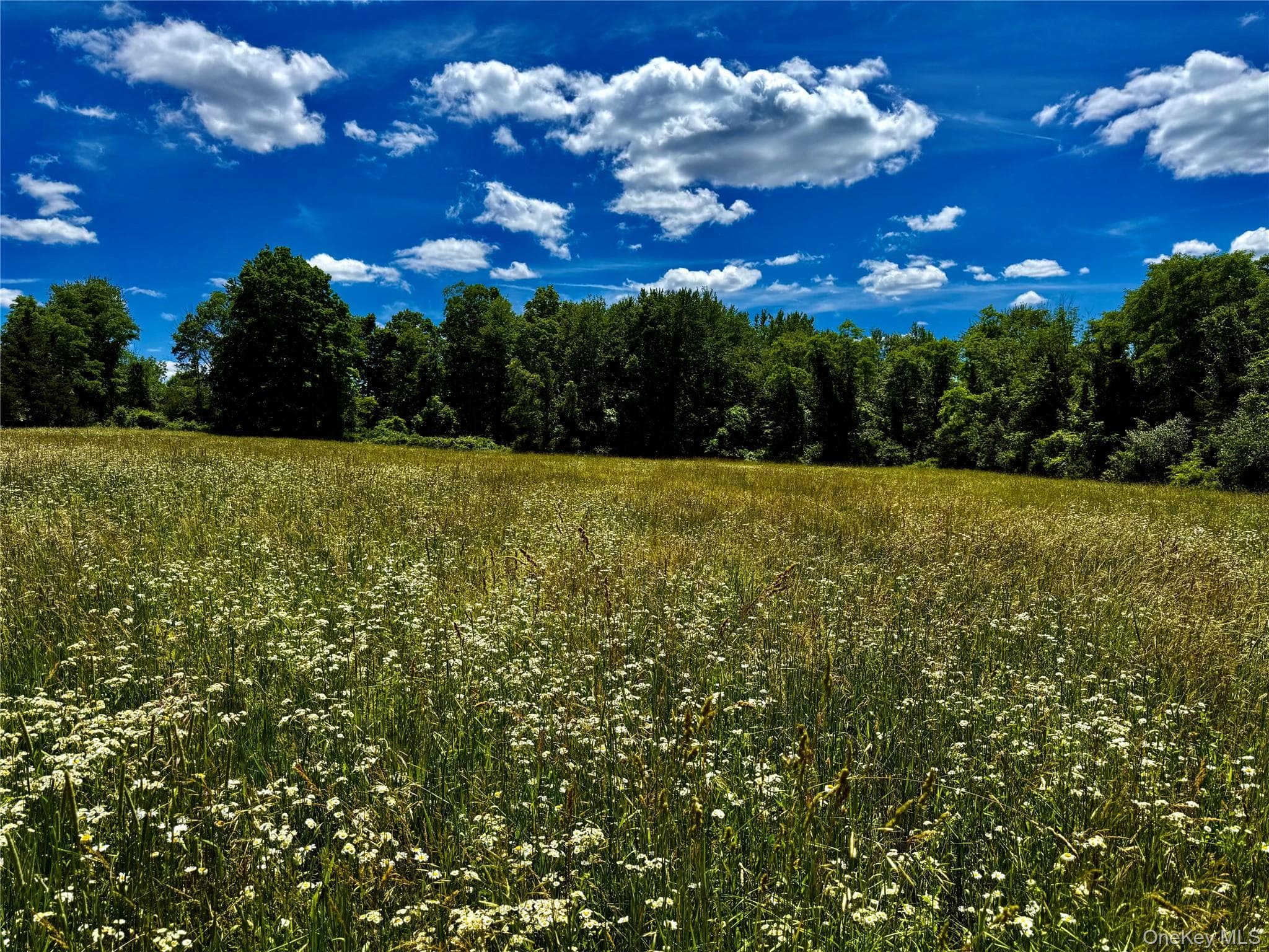 513 Rossway Road thumbnail 5