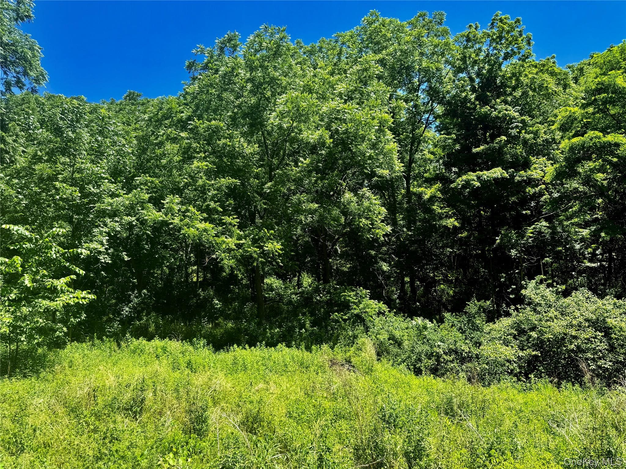 513 Rossway Road thumbnail 4